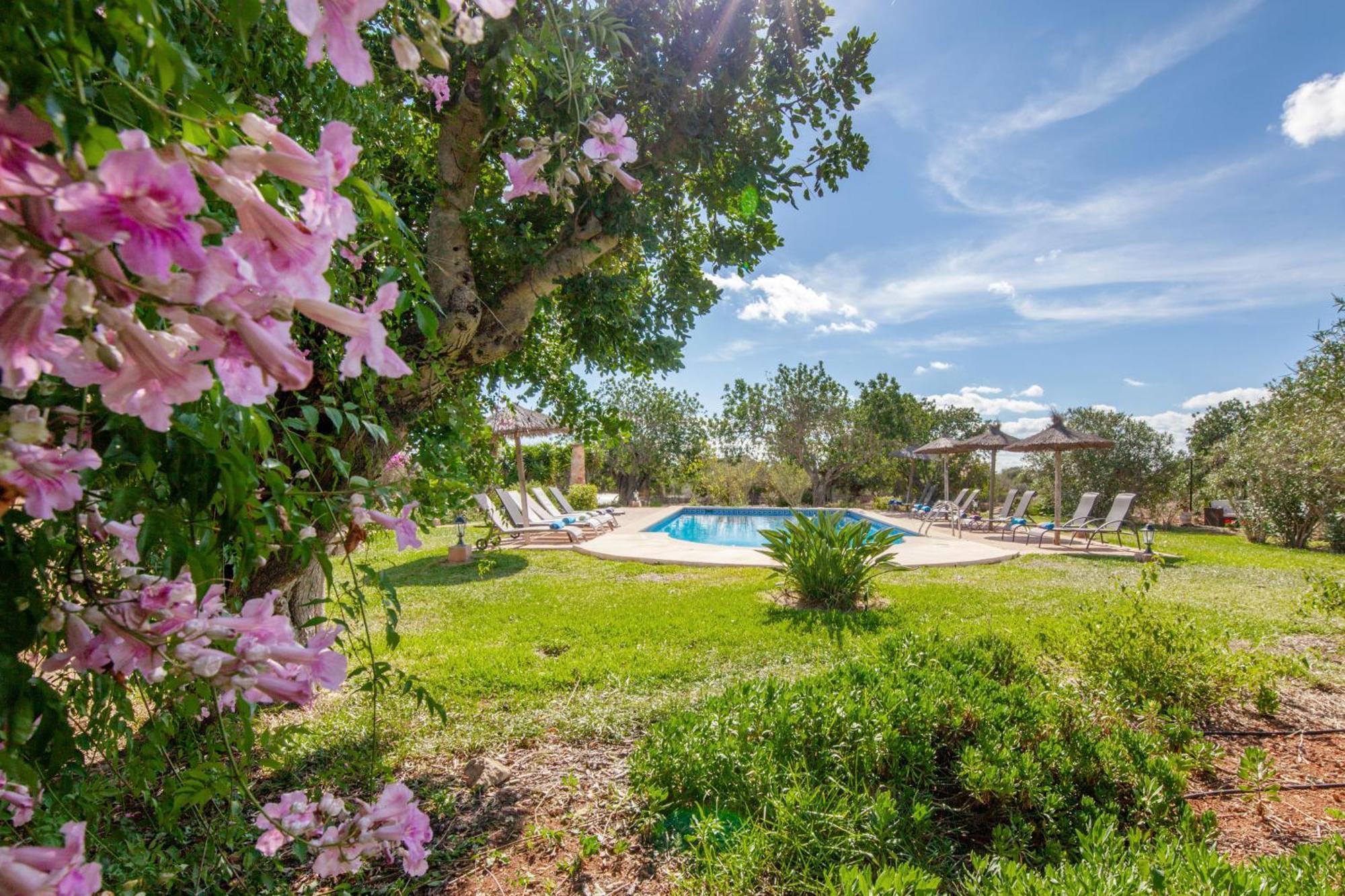 Son Marimon (adults Only) Farm stay
