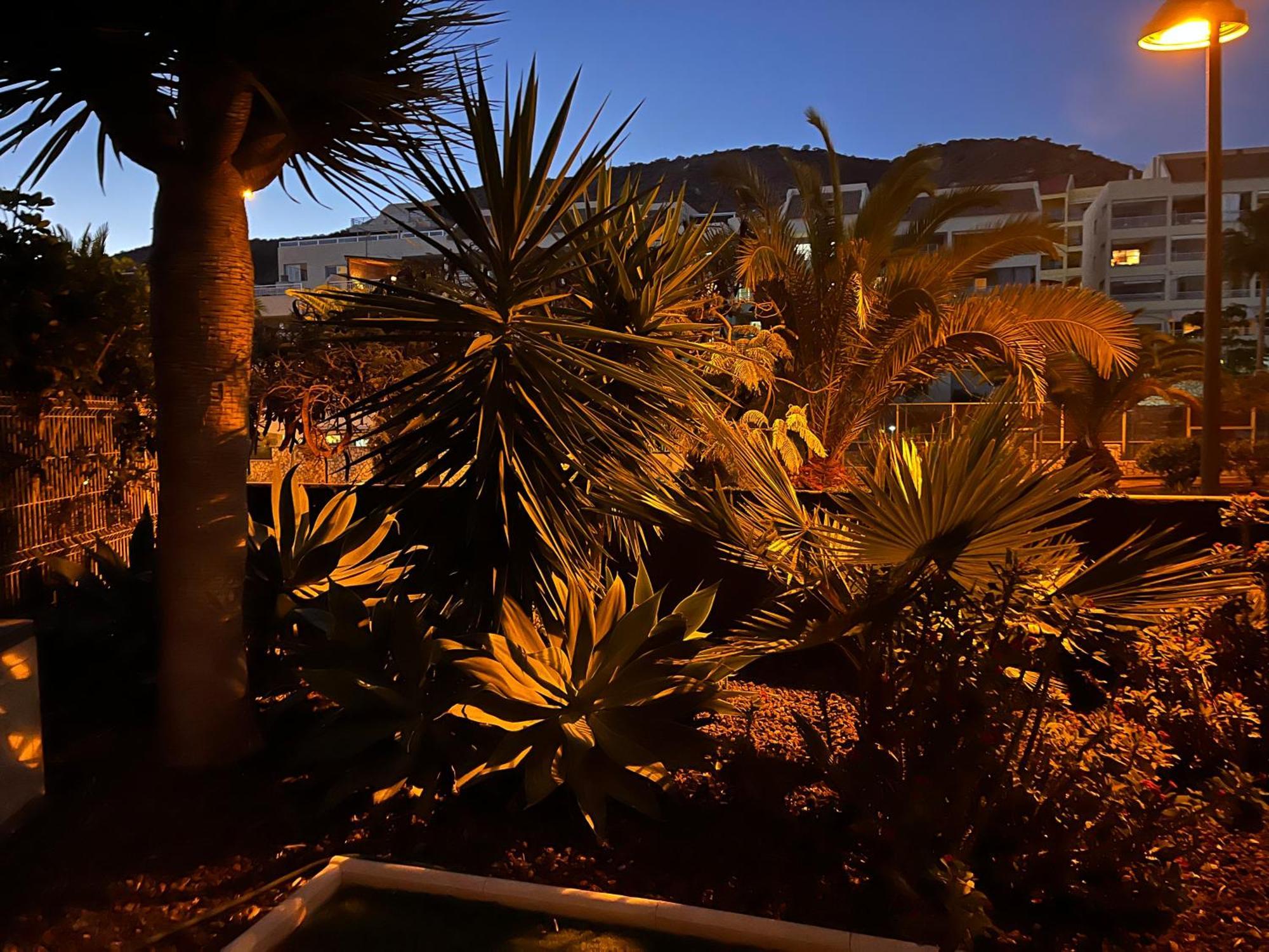 Apartamento Andromeda Palm-mar