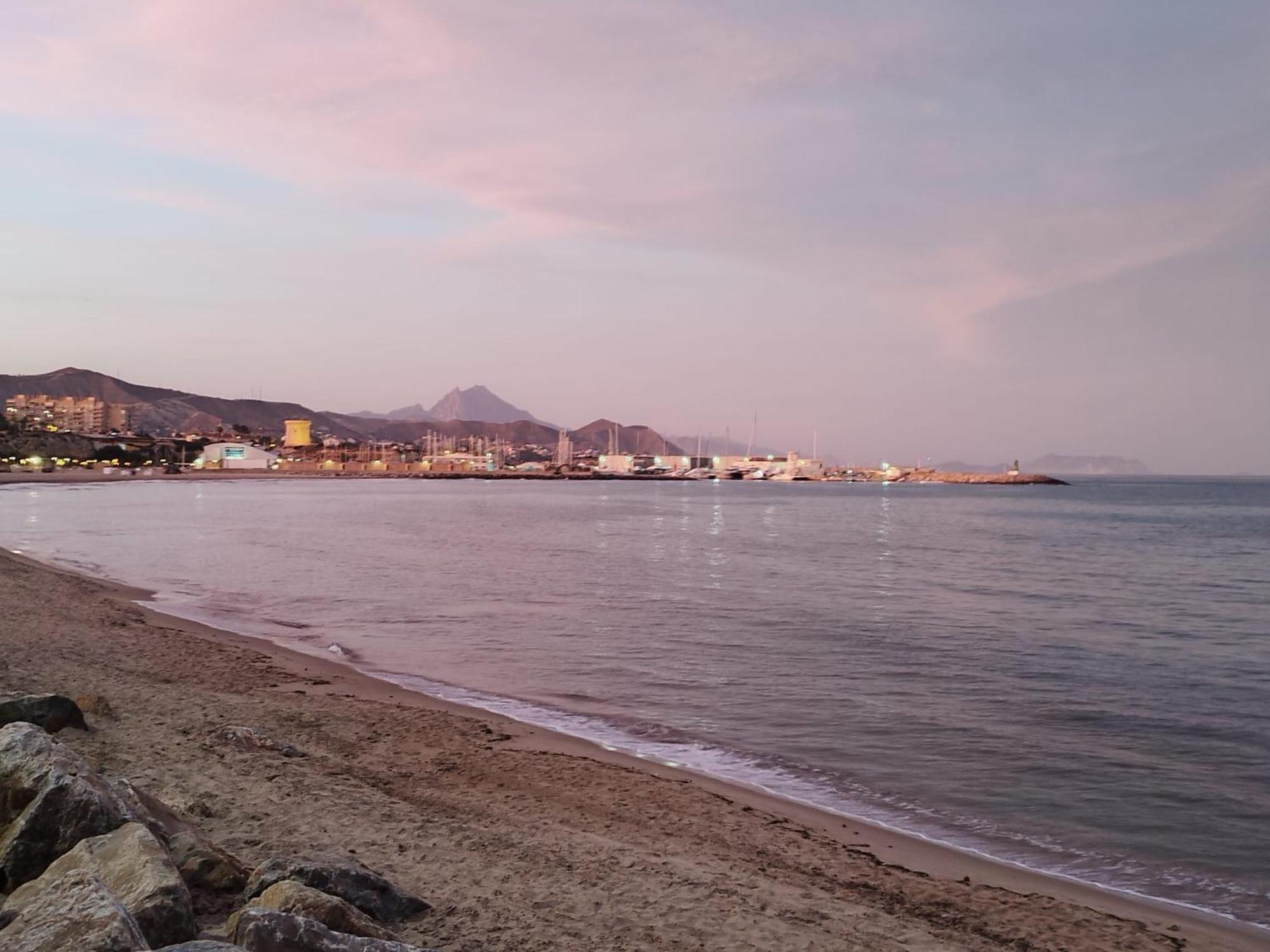Alicante Dariodoris