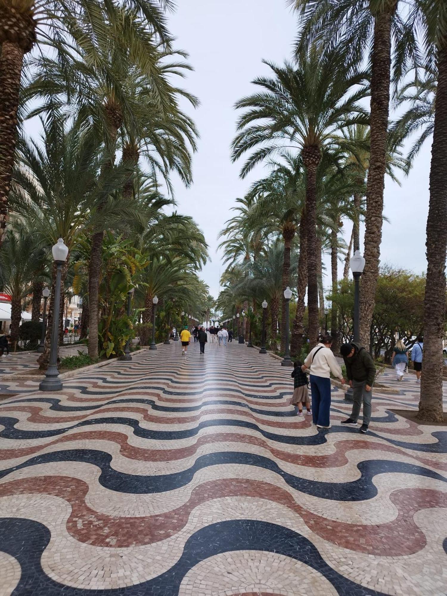 Alicante Dariodoris