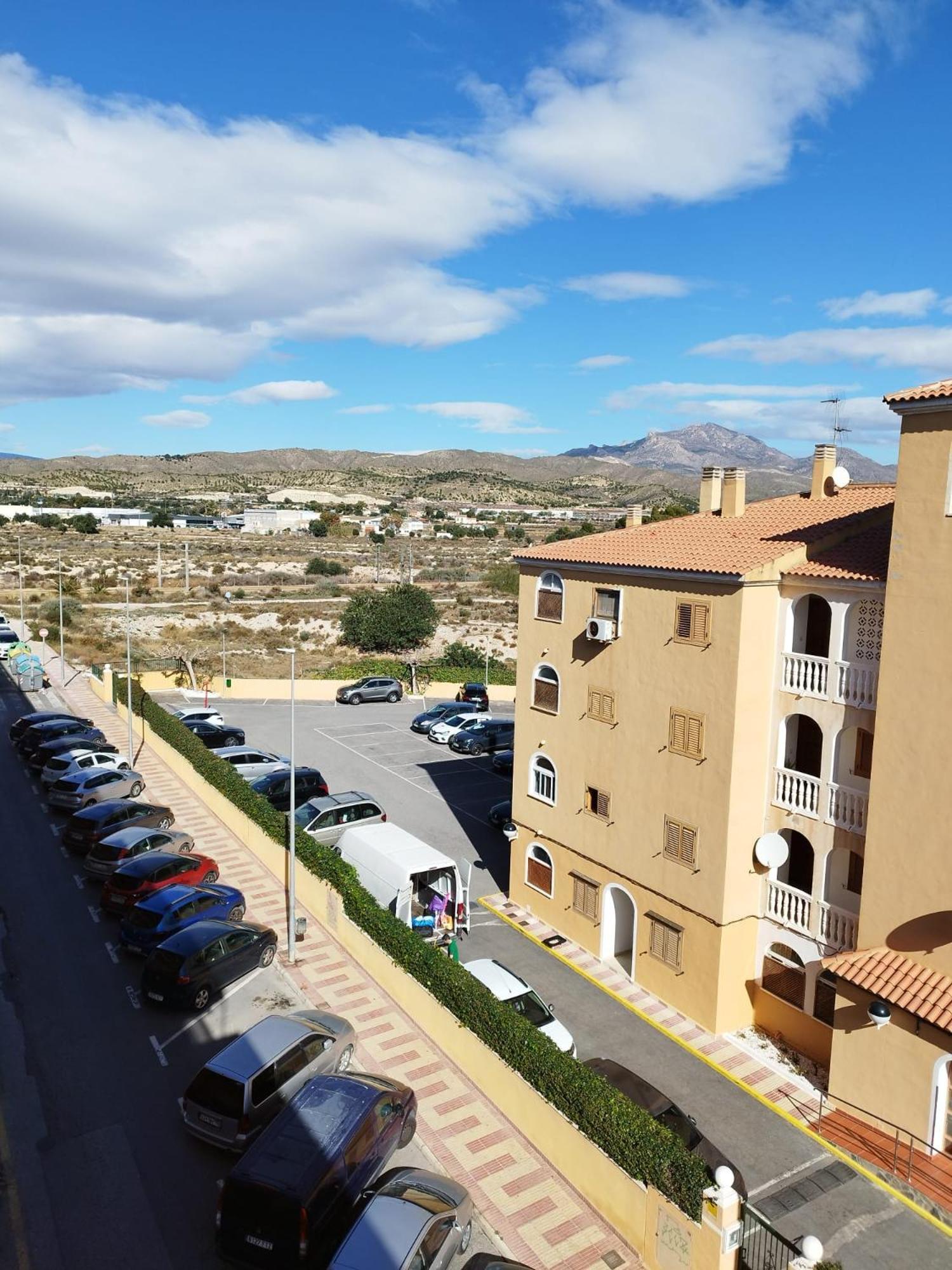 Alicante Dariodoris