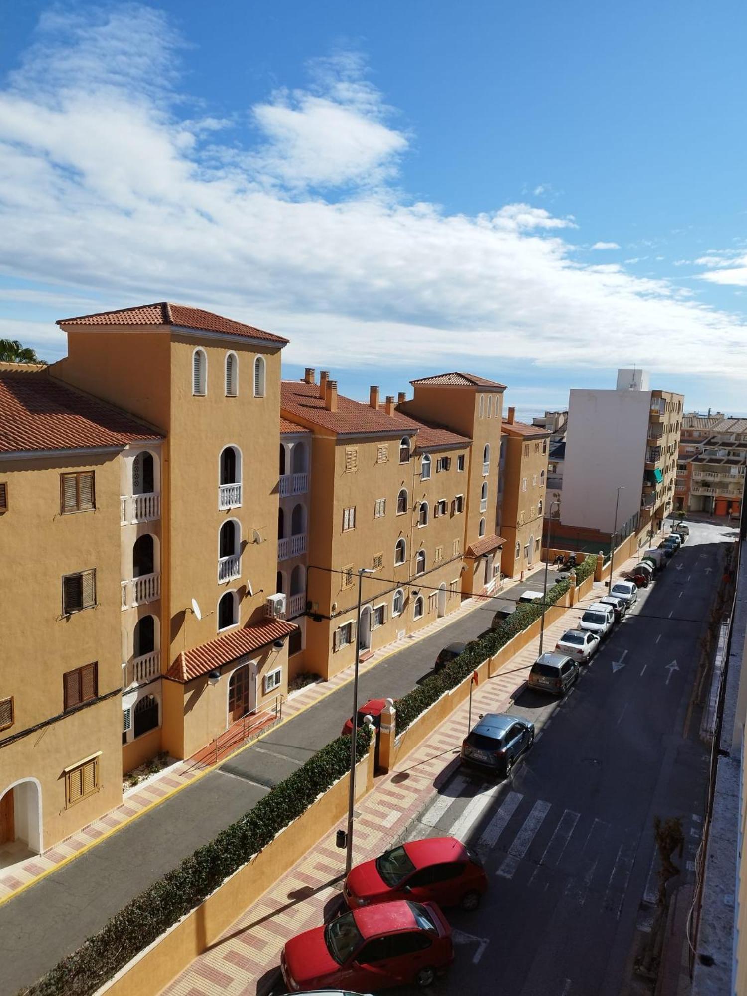 Alicante Dariodoris