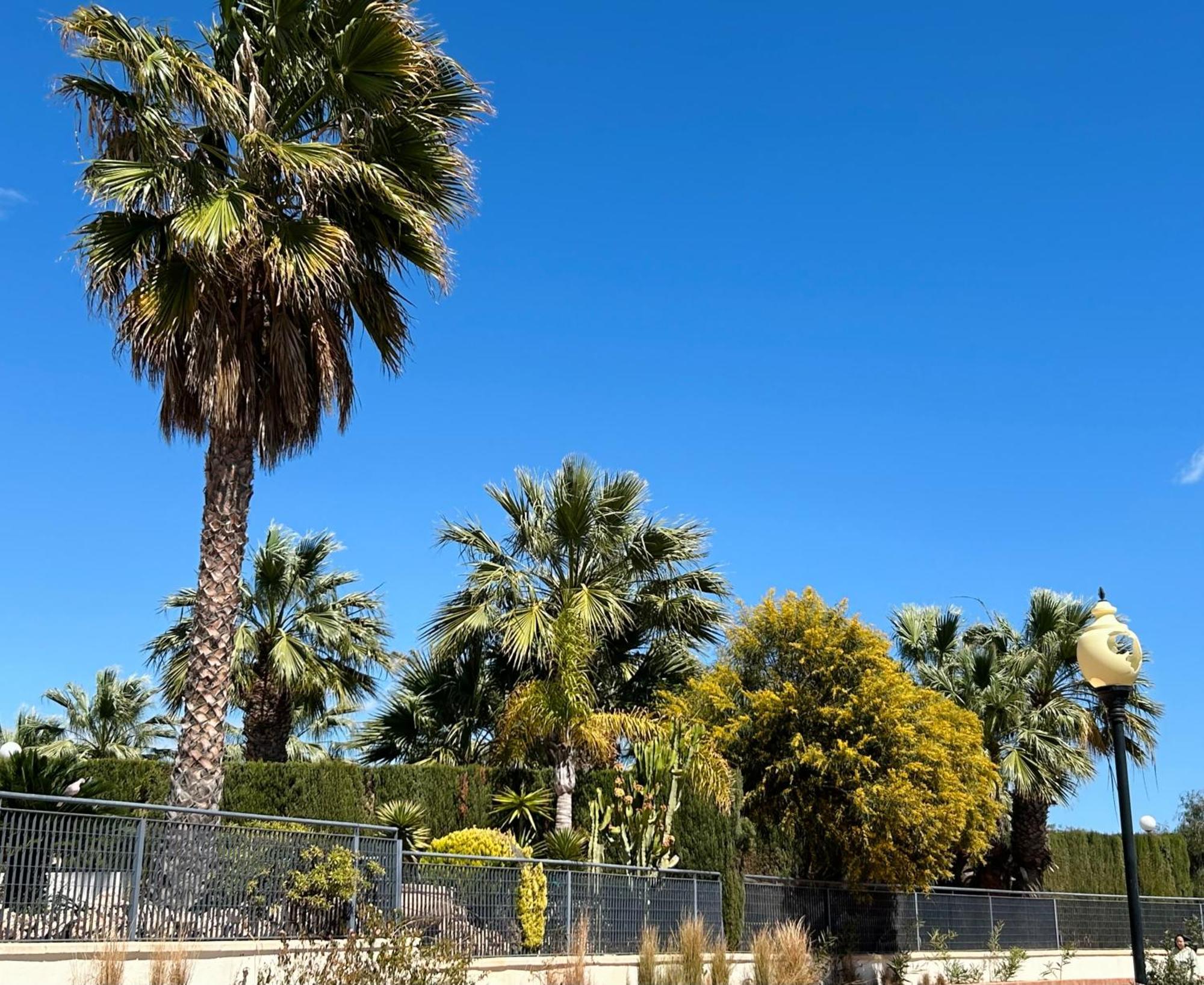 Apartment Hermosa Glea Campoamor