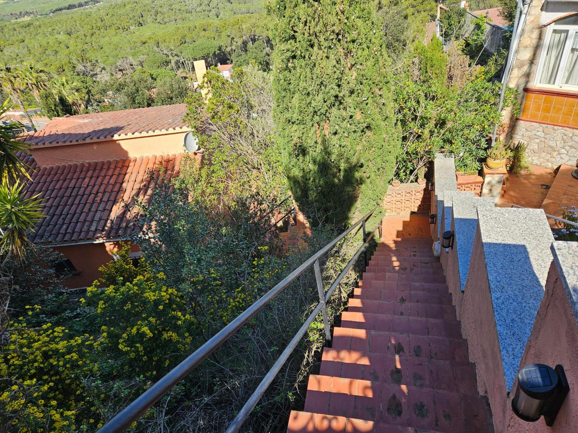Montagne Vue Panoramique Sur Chalet