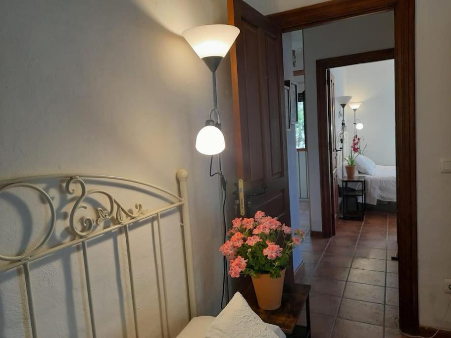 Holiday home Casa De Lavandas,