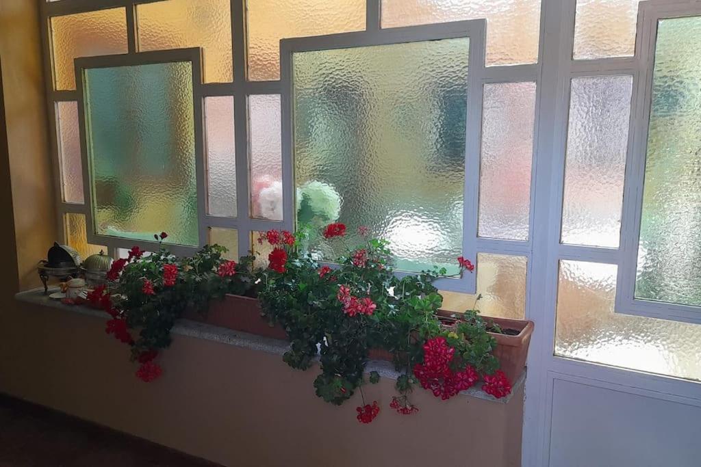 Casa De Lavandas, Holiday home