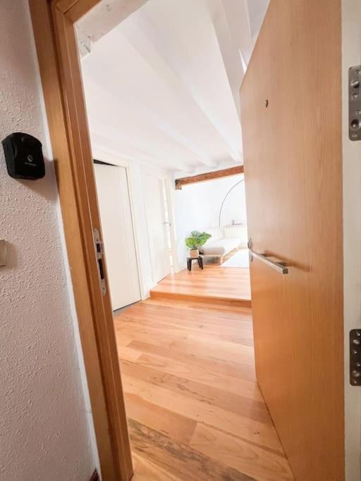Centrico Recien Reformado. Apartment