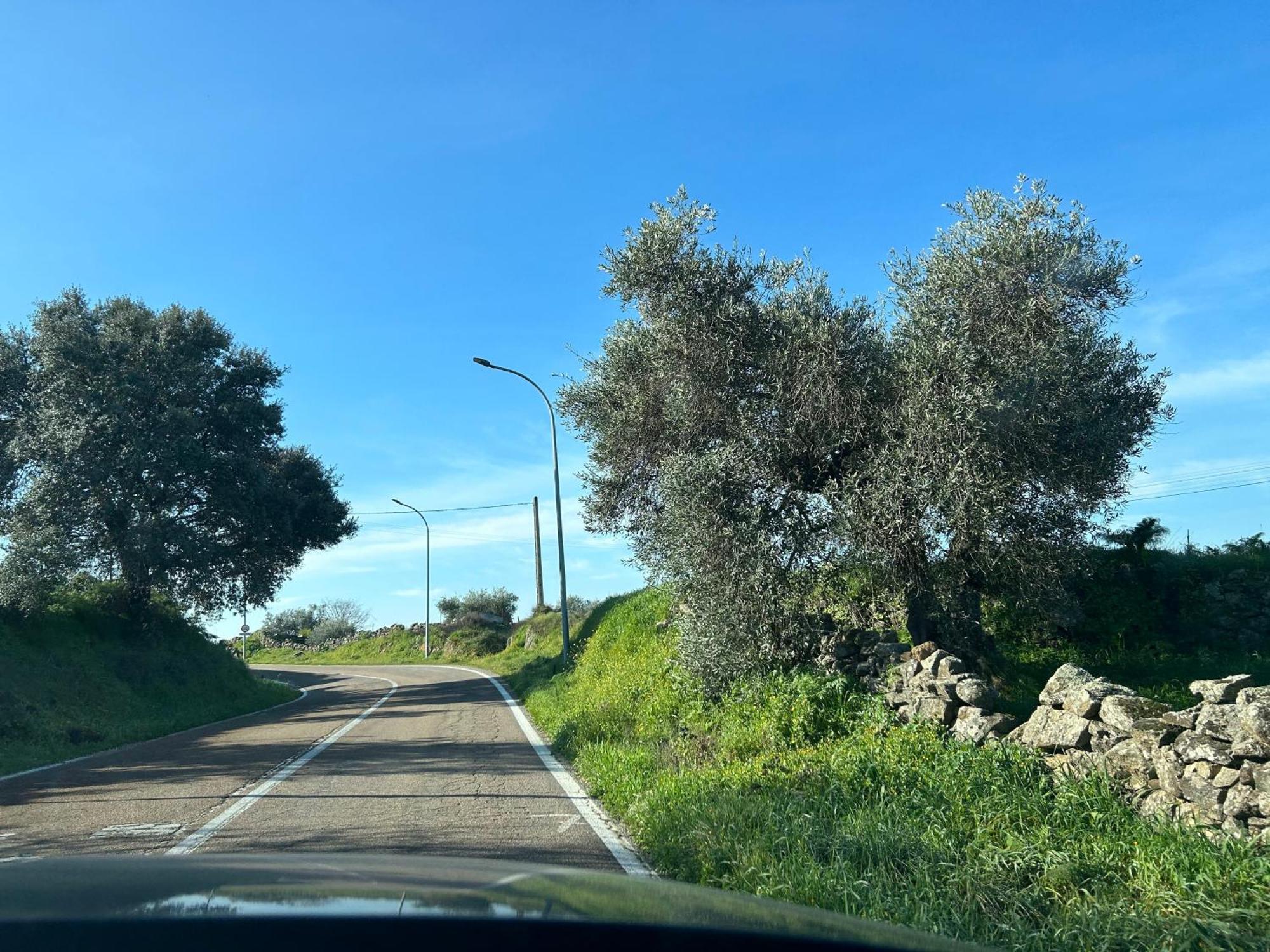Сasa de vacaciones La Manzanilla *
