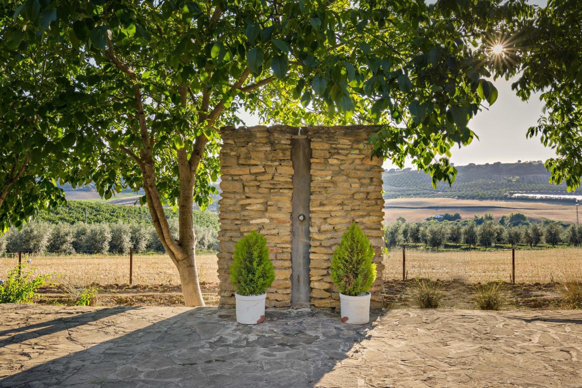 Bed and breakfast Naranja