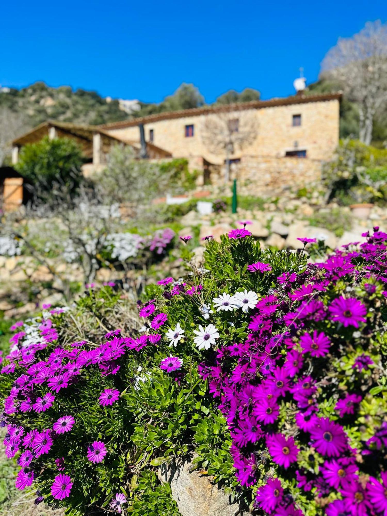 La Vista Brava Country house