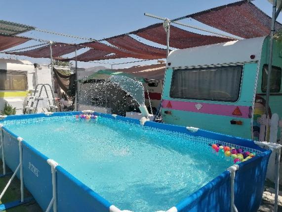 Camping Mascotas Cerca De Alicante Sax