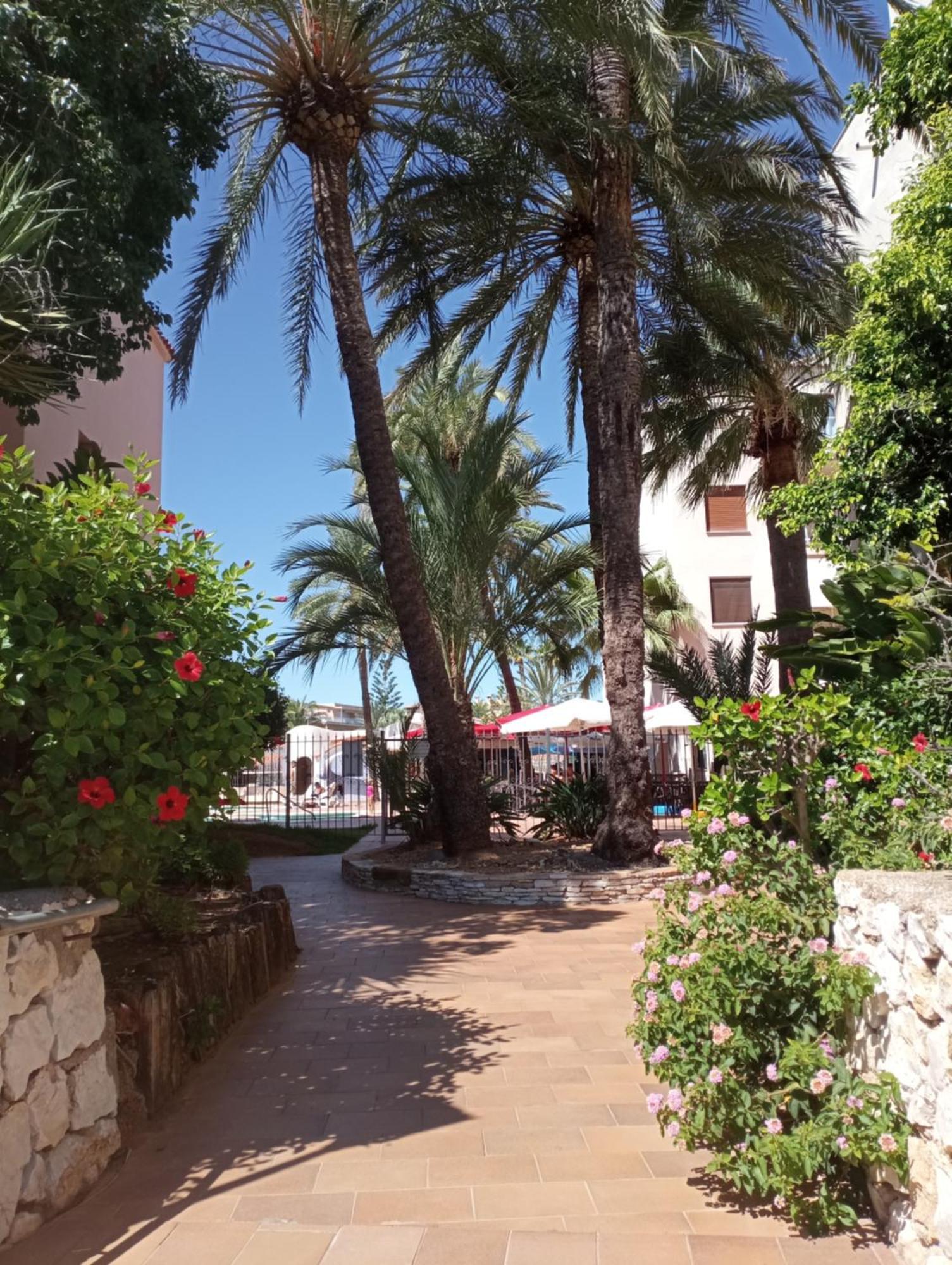 Parchís Con Piscina Dénia