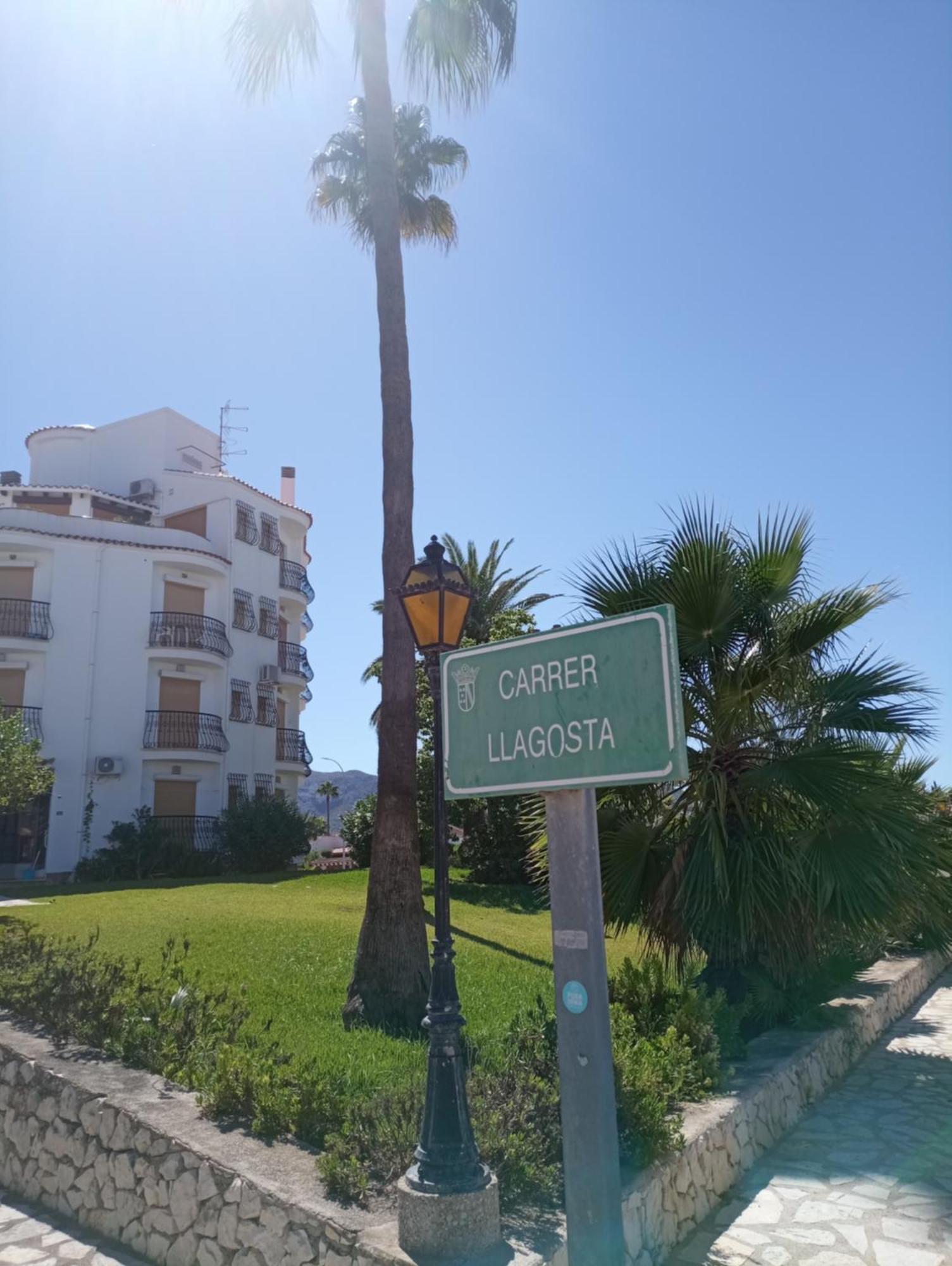 Parchís Con Piscina