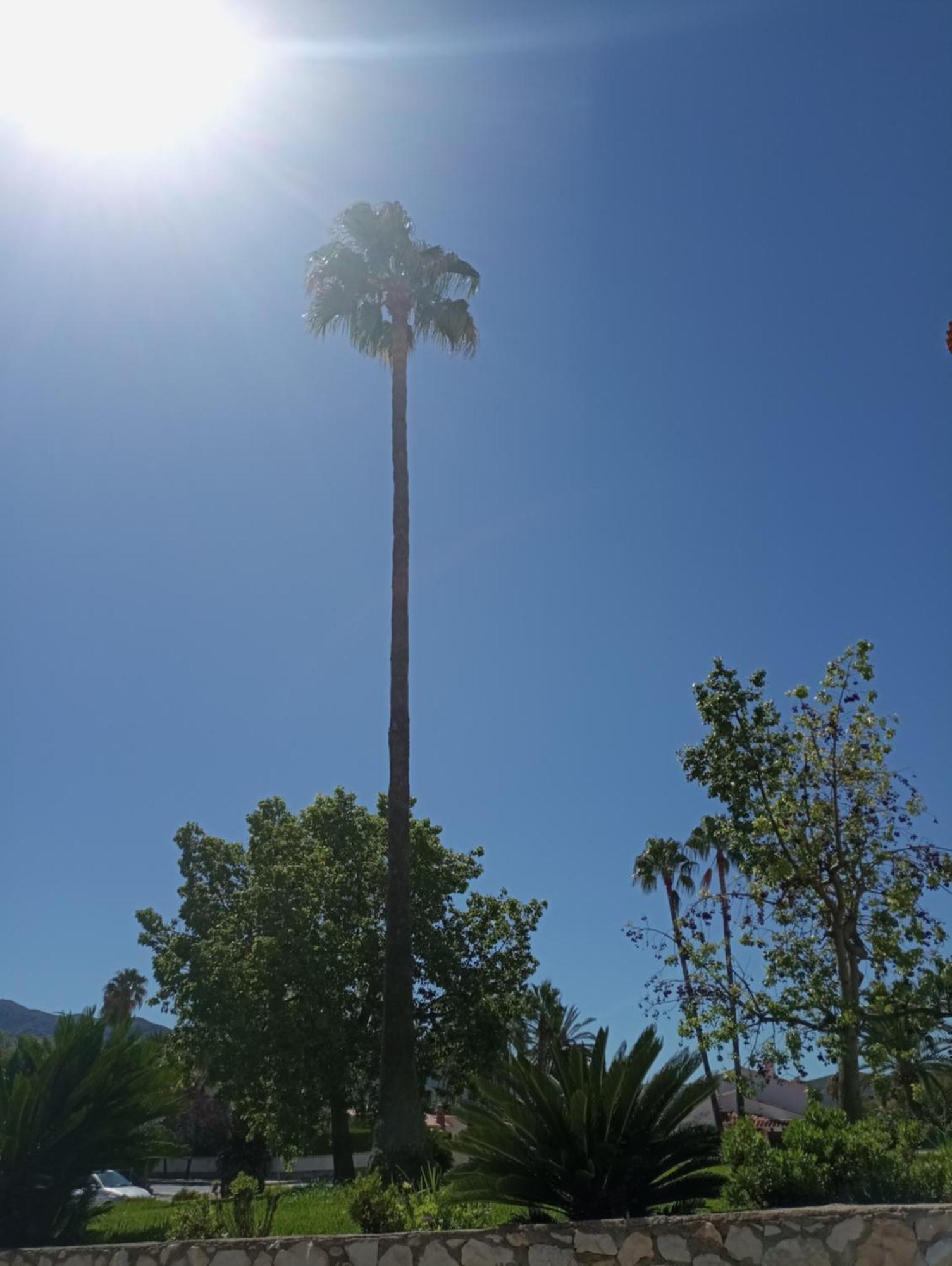 Apartamento Parchís Con Piscina Dénia