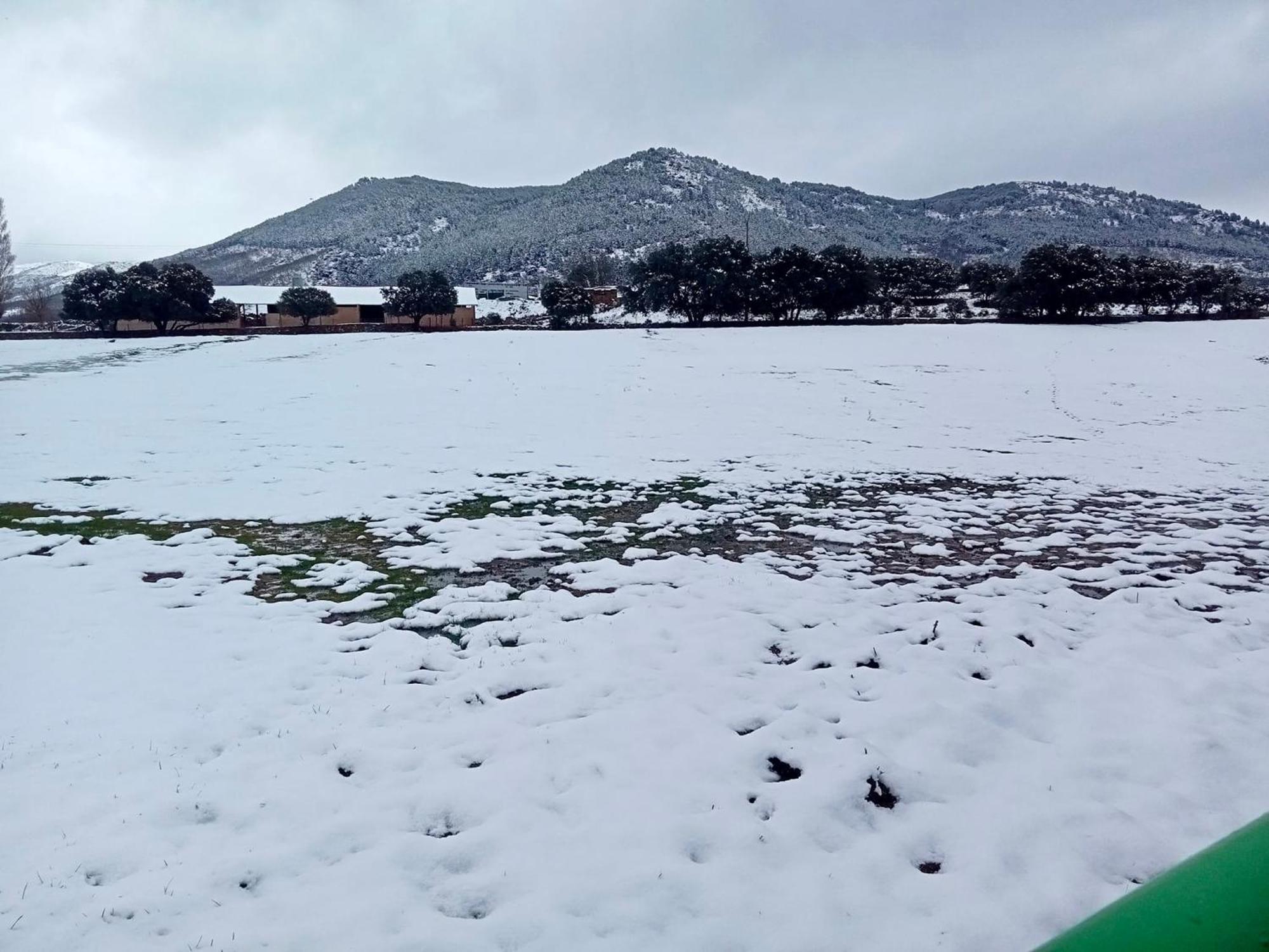El Rincon Del Corneja