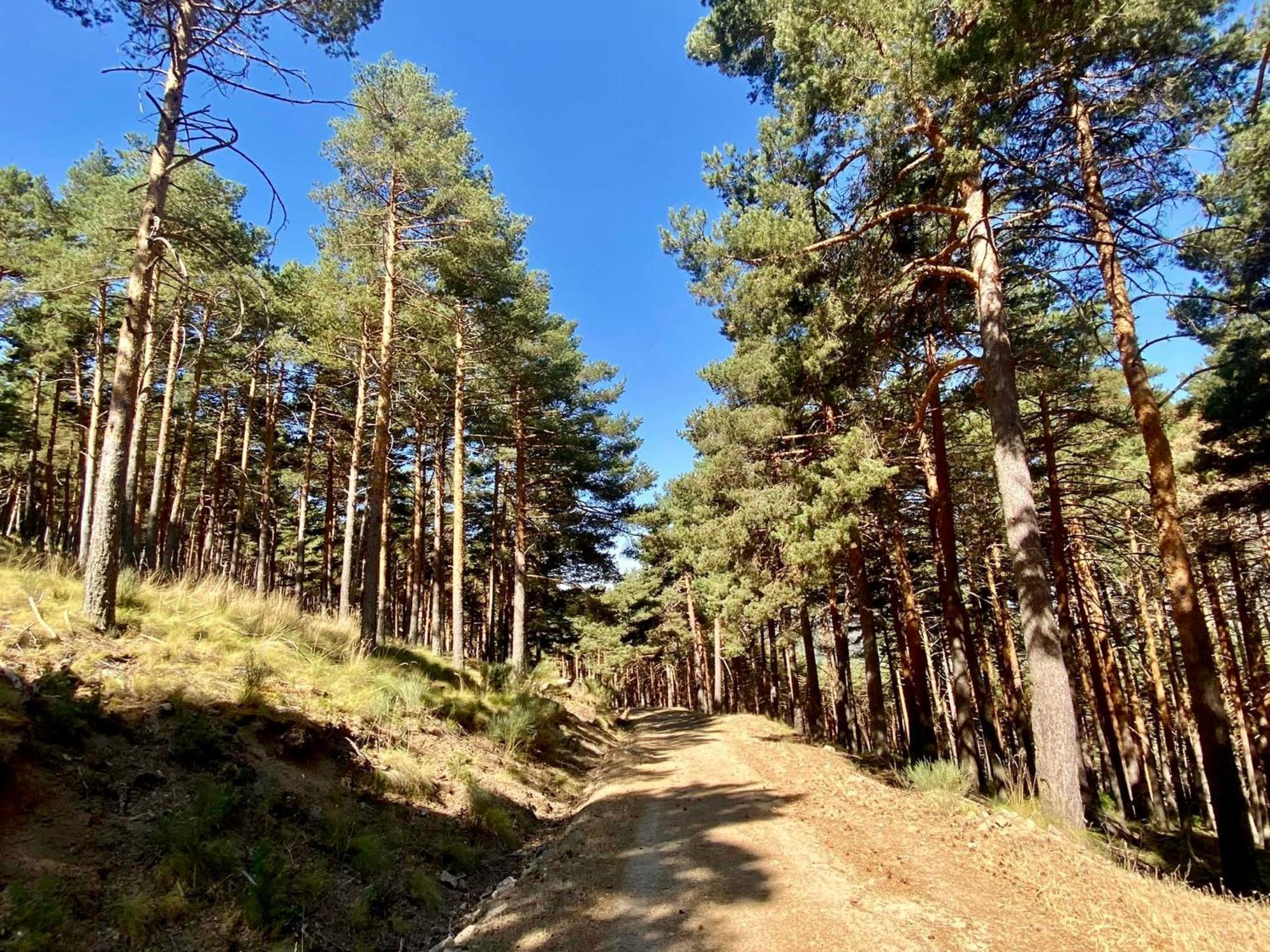 El Rincon Del Corneja *