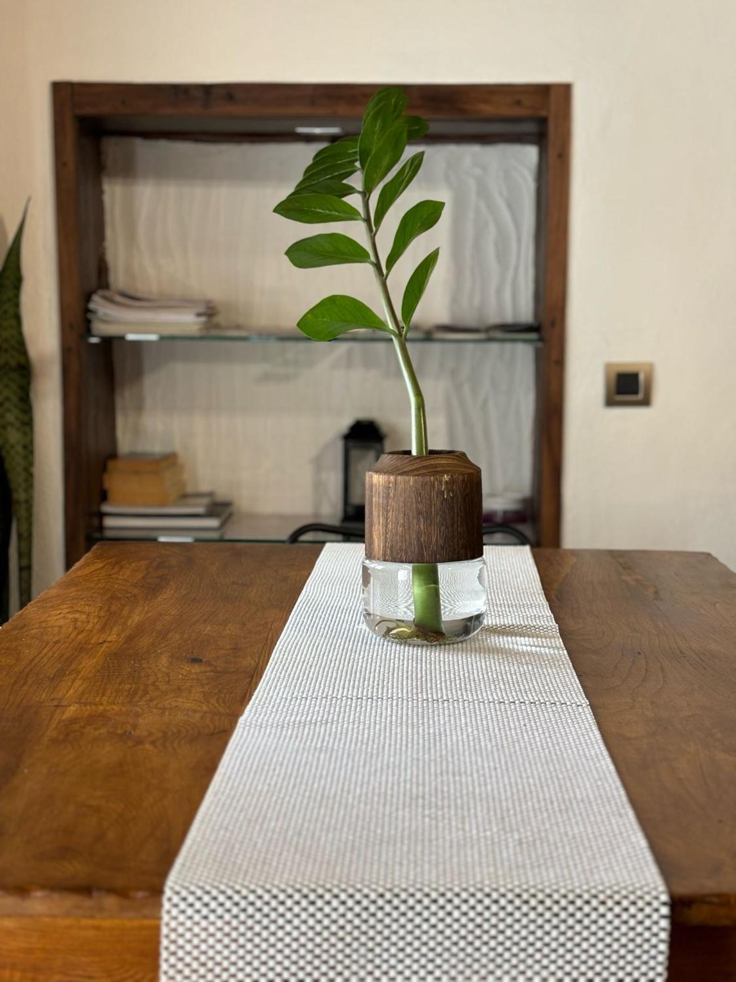 Сasa de vacaciones House From 1900 Carefully Restored *