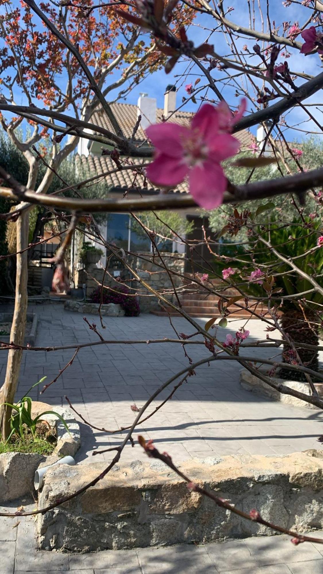 Casa Cari Holiday home