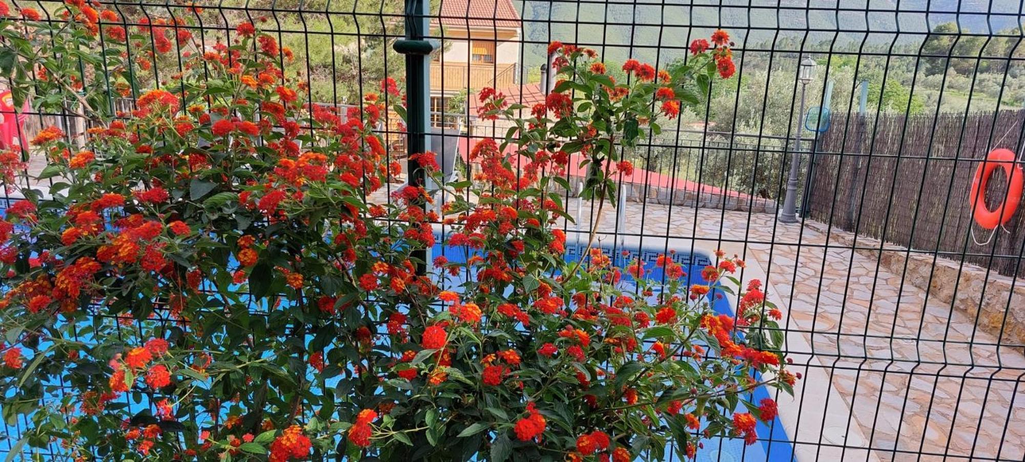 Holiday home Cerro Lobo