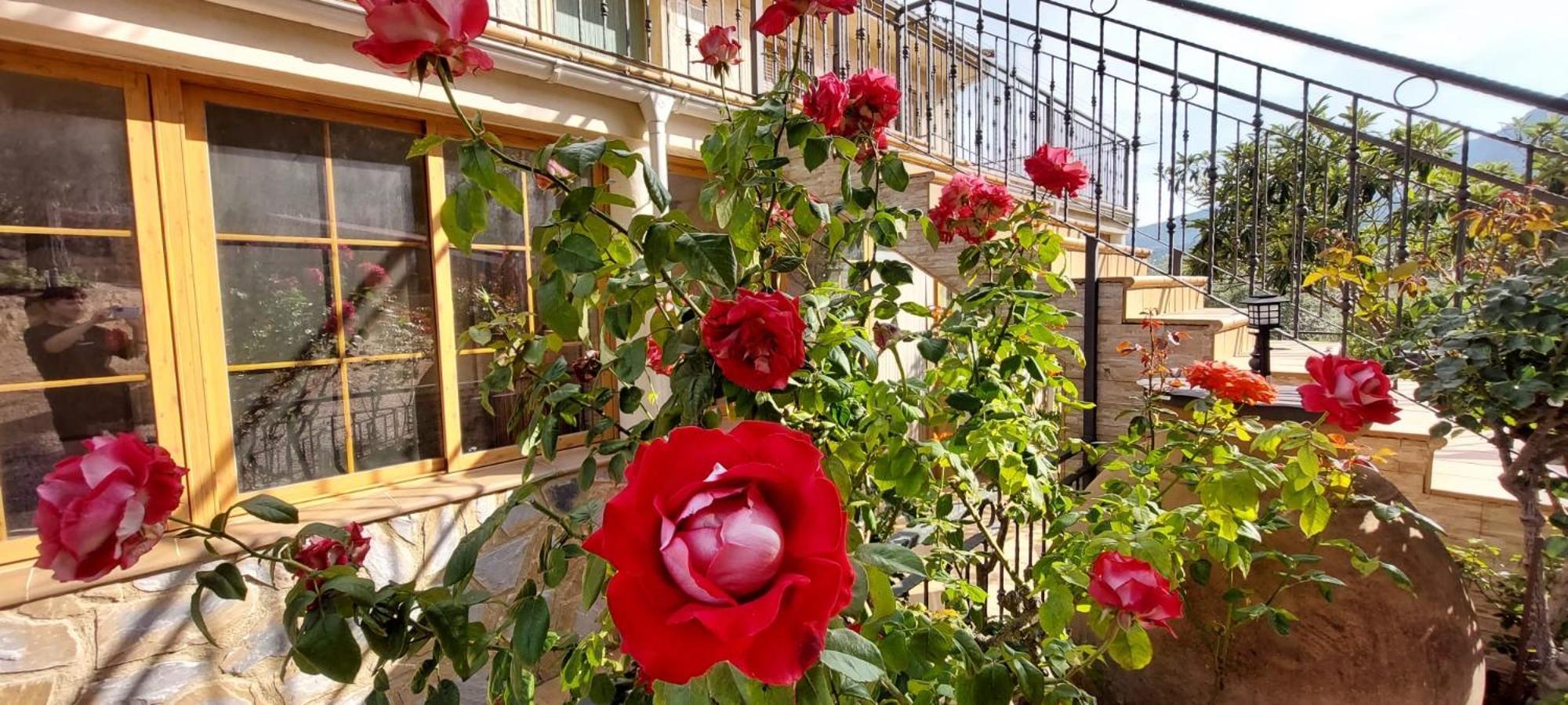 Cerro Lobo Holiday home *