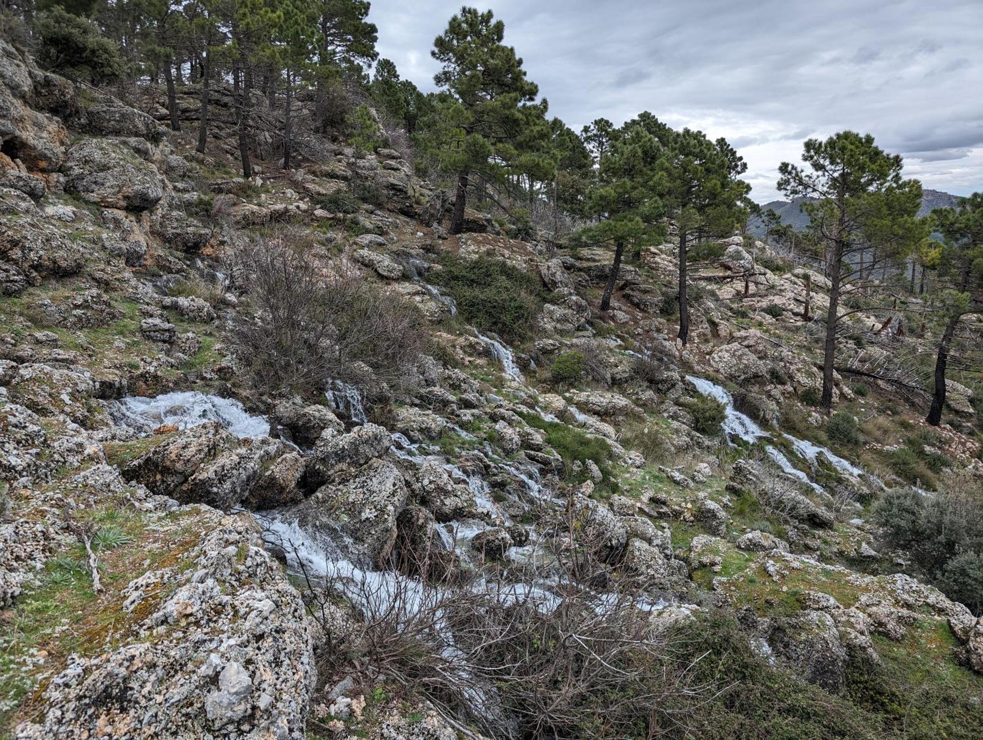 Cerro Lobo Holiday home *