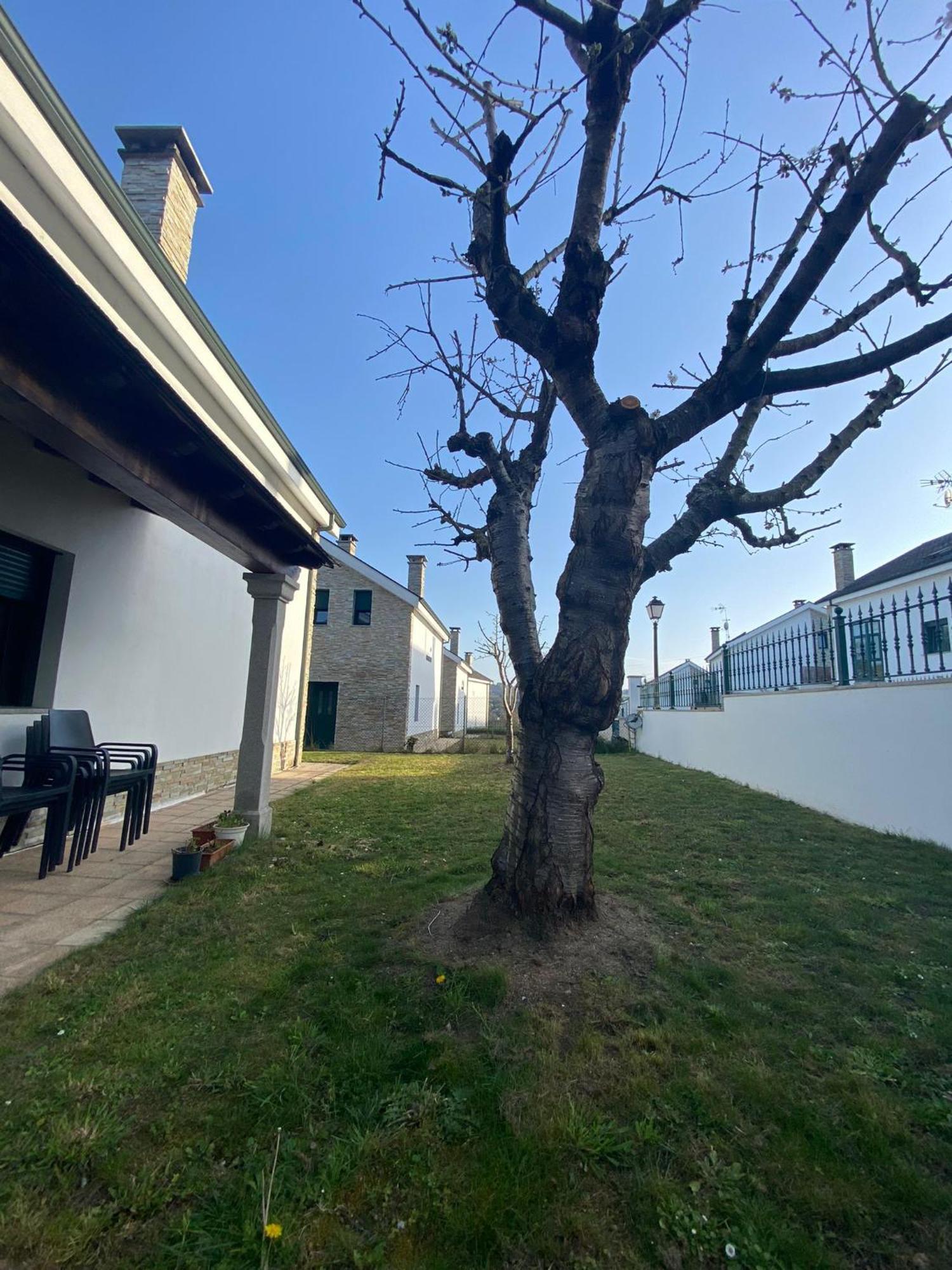 Casa Do Aloumino Holiday home Portomarin