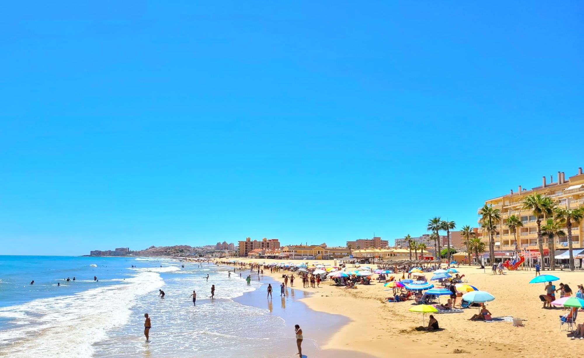 Palmas