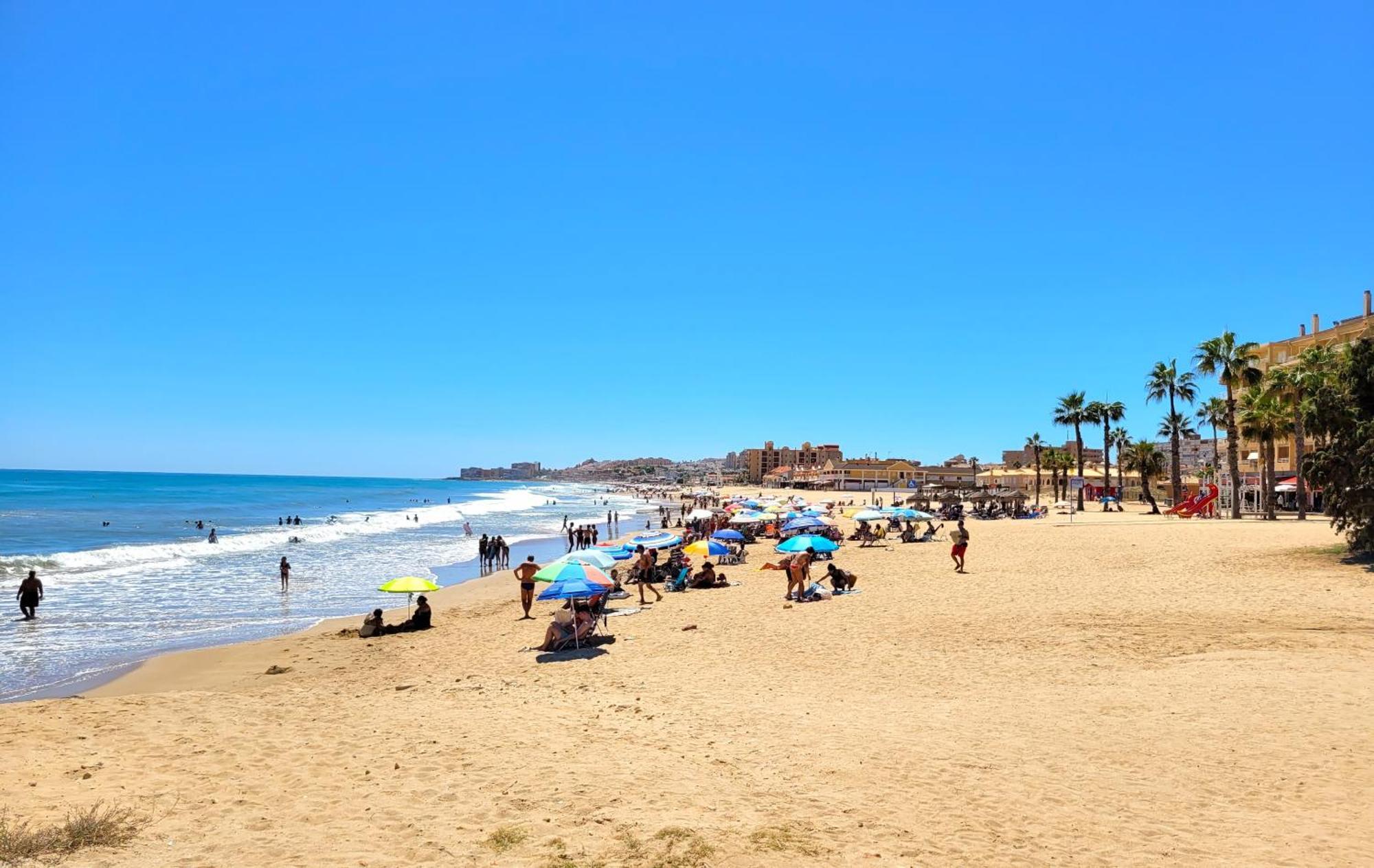 Palmas * La Mata (Torrevieja)