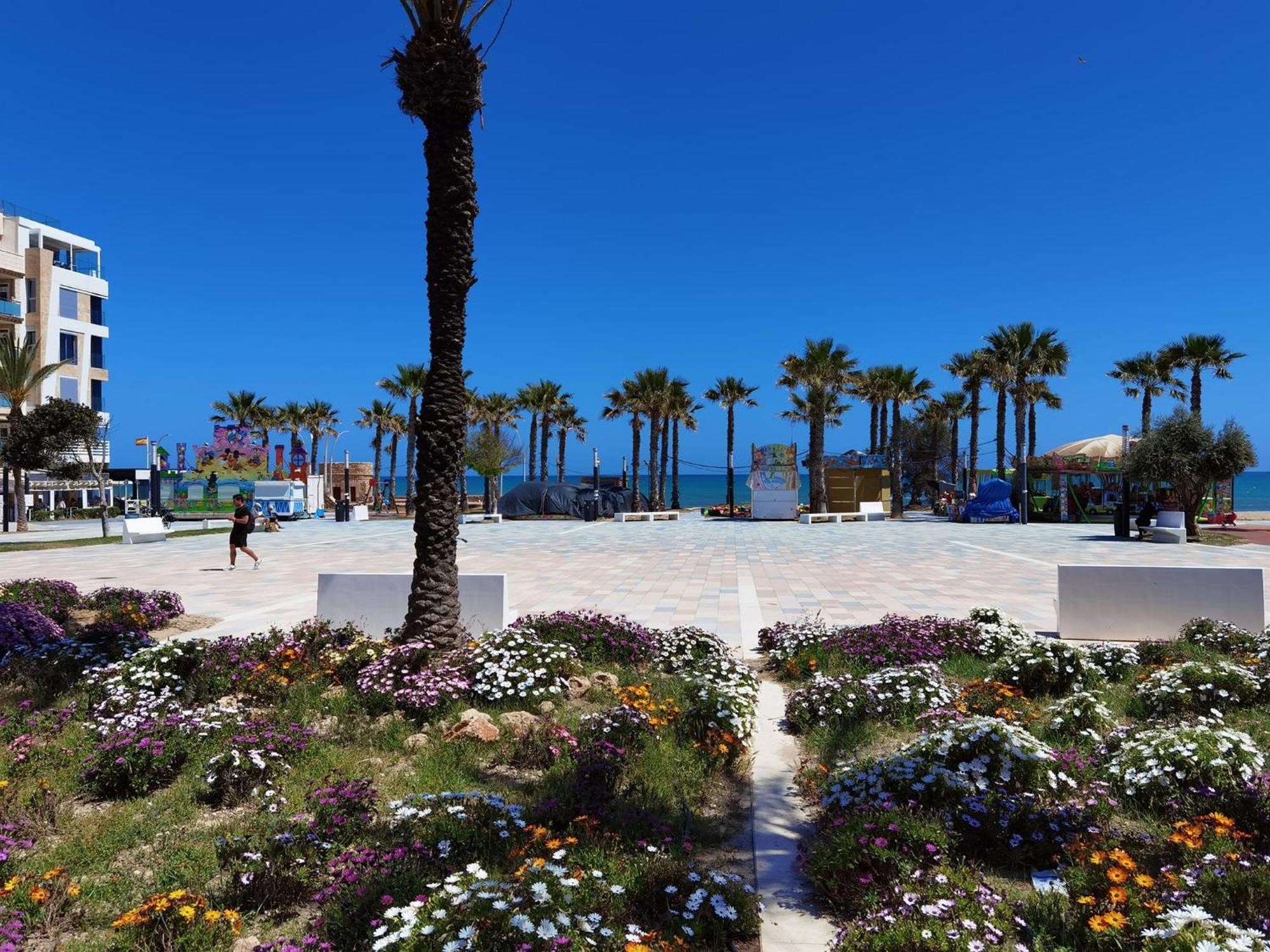 Palmas Apartamento La Mata (Torrevieja)