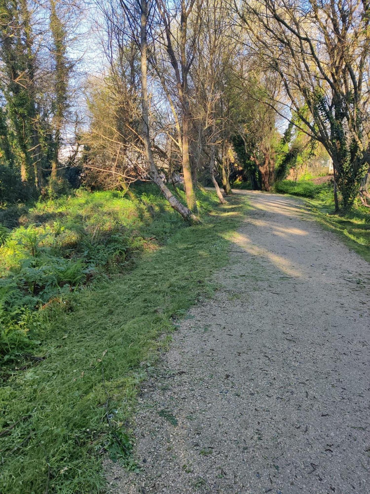 Rio Gallo *