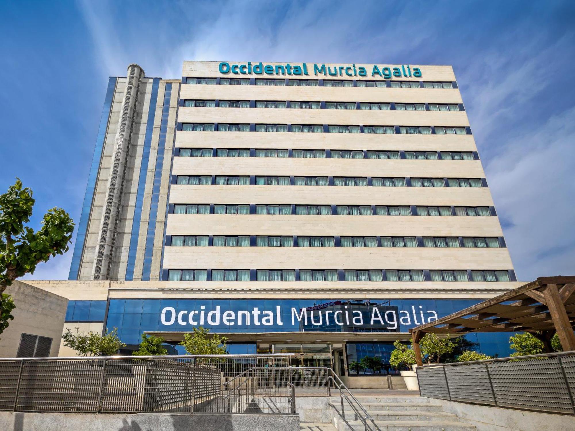 Hotel Occidental Agalia 4*