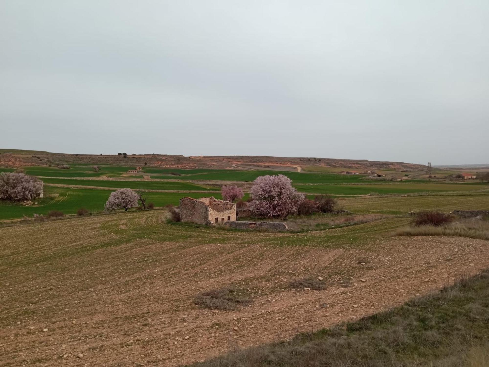 Hacendera Completa Casa rural *