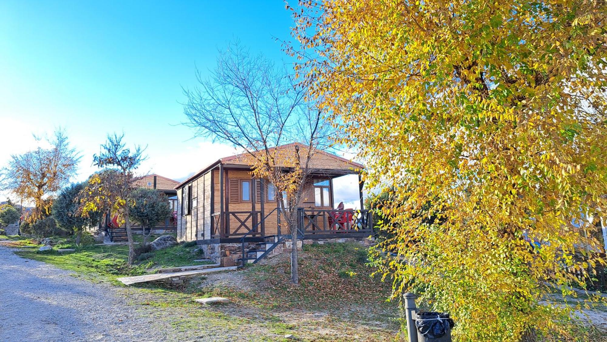 El Picachuelo Campsite El Berrueco