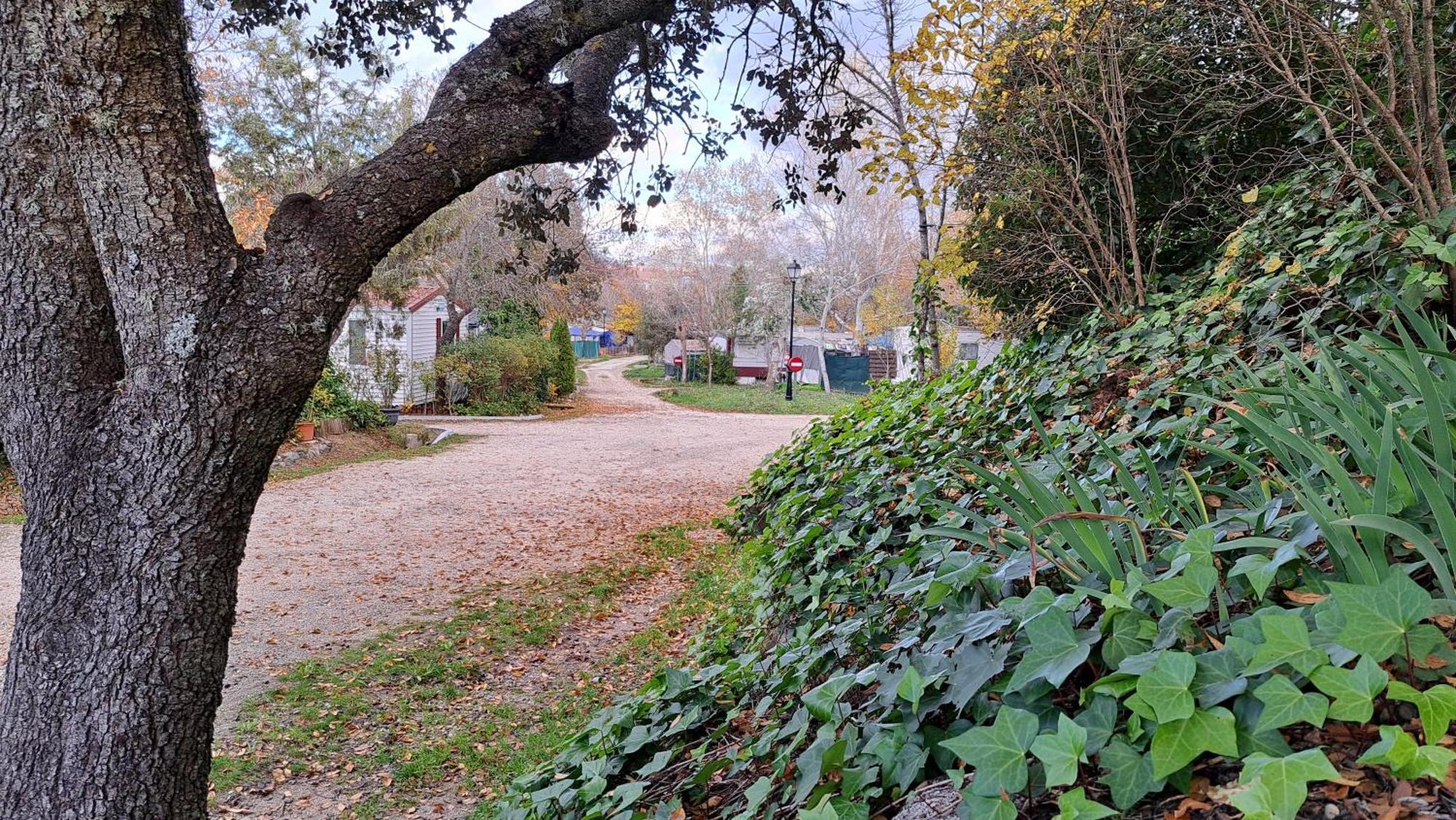 El Picachuelo Camping El Berrueco