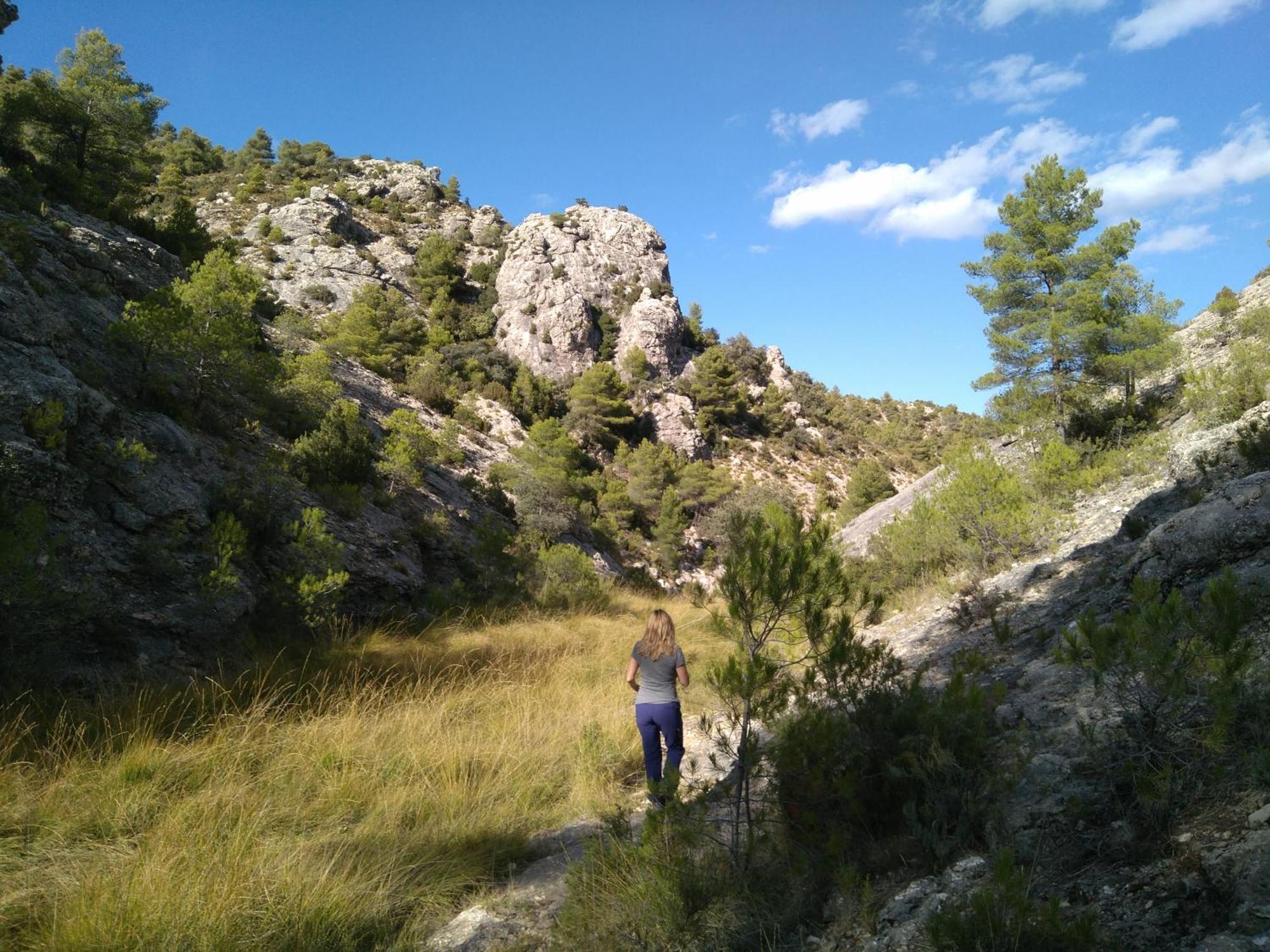 Сasa de vacaciones Abaric