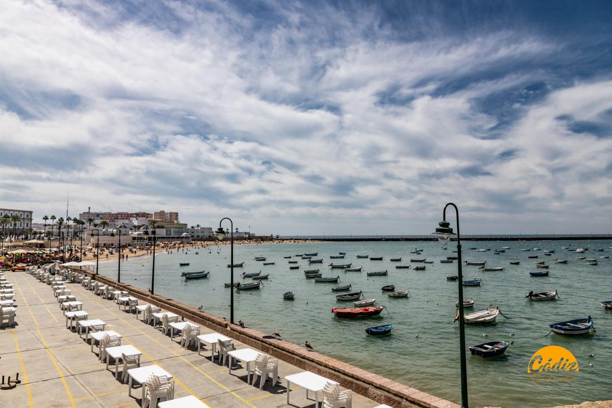 Flamenco Centro By Time * Cadiz
