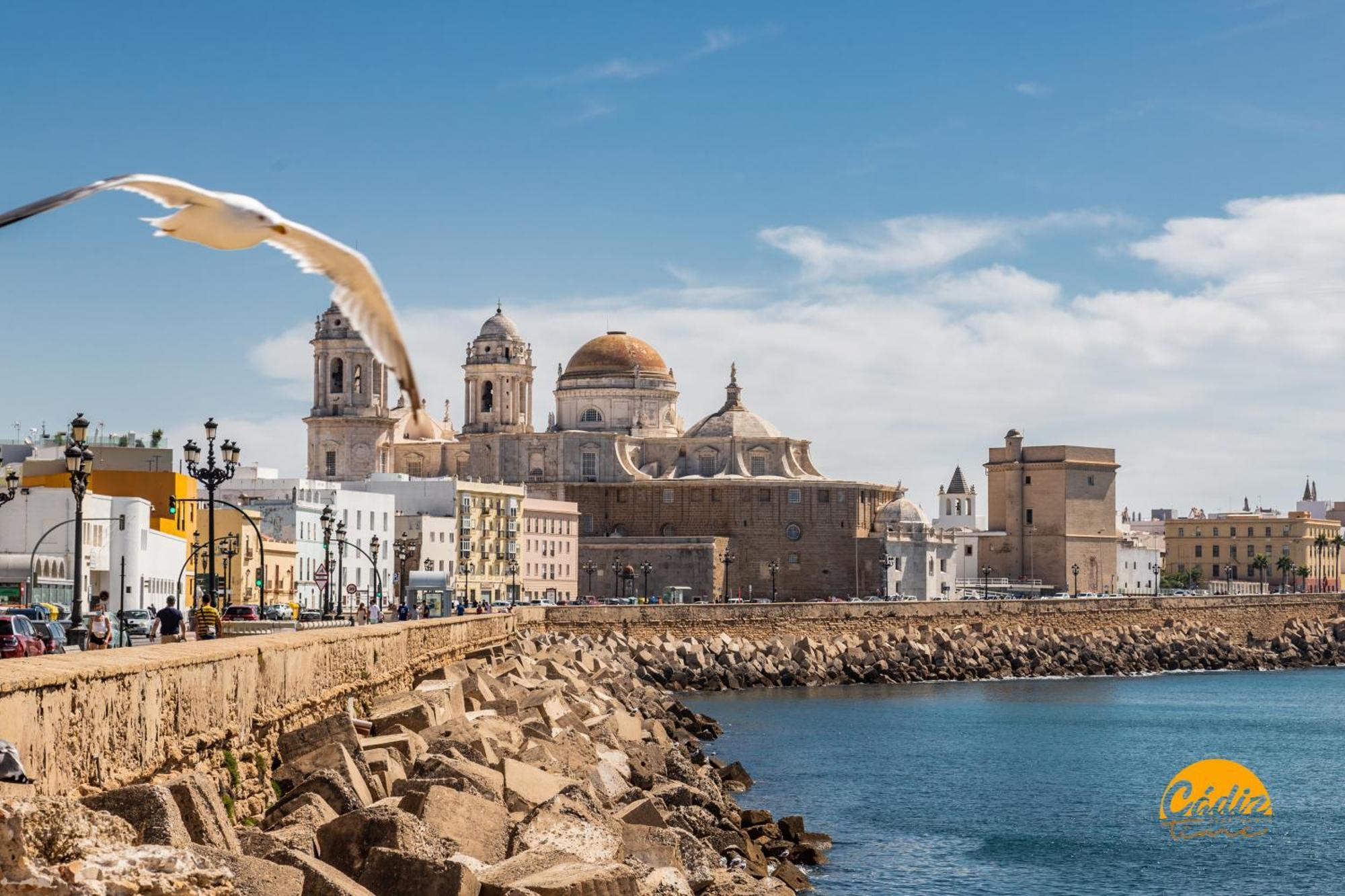 Flamenco Centro By Time * Cadiz