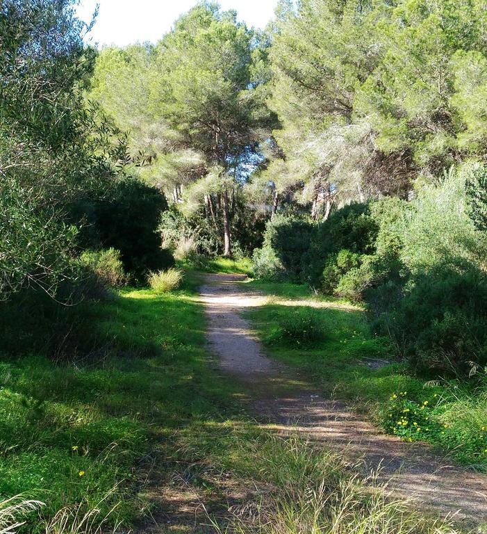 Apartamento Pinos Cala Murada (Mallorca)
