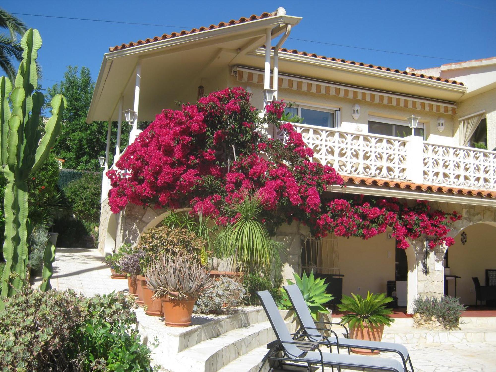 Bougainville Apartamento *