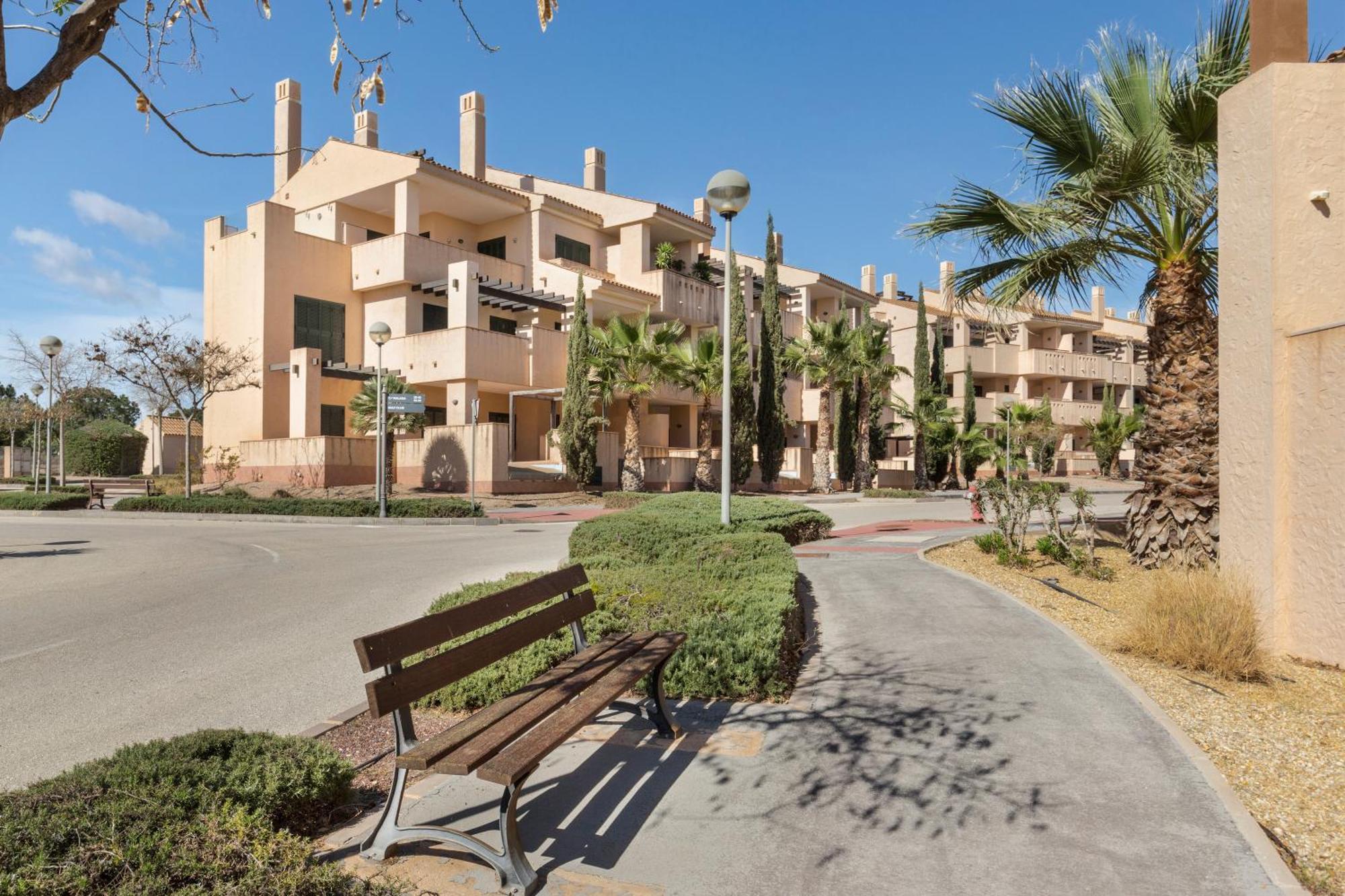 El Oasis Martinica 4 2 B