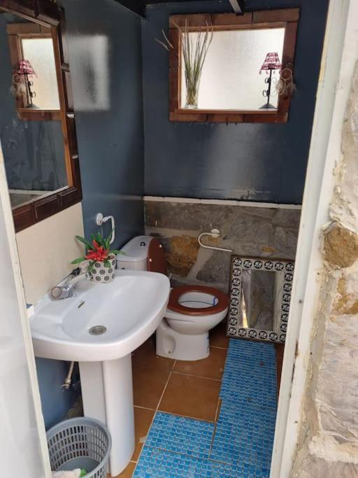 Villa Casa Oasis