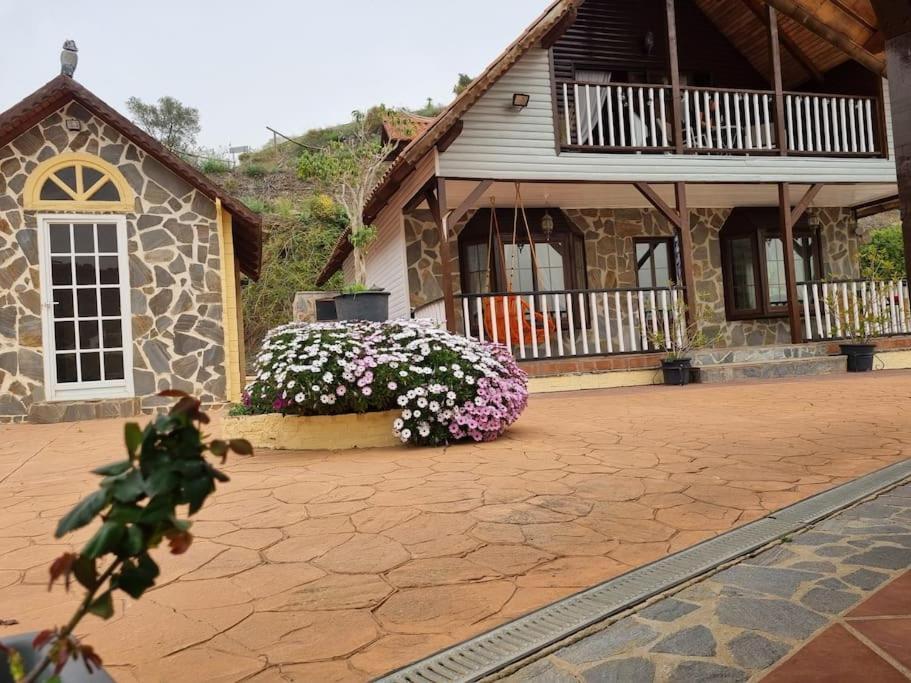 Casa Oasis Villa