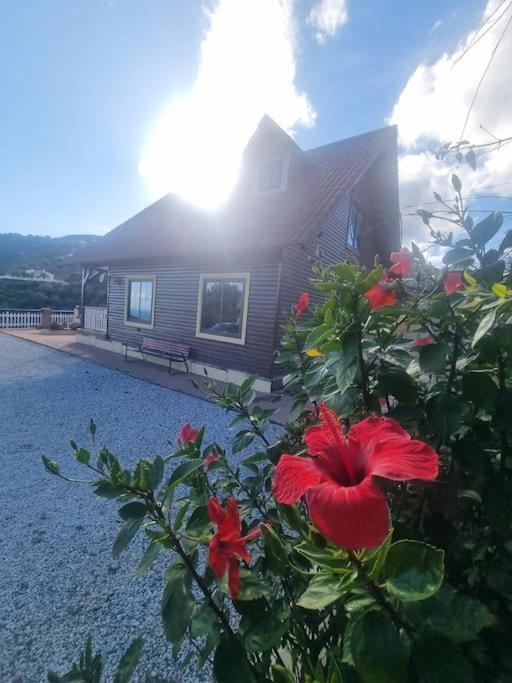 Casa Oasis Villa Torrox