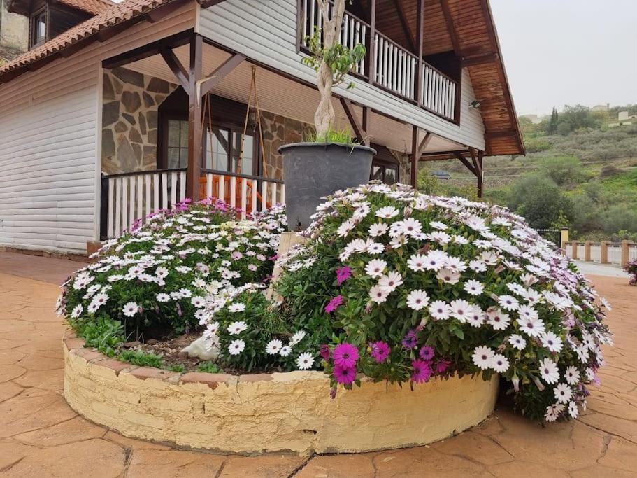 Casa Oasis Villa Torrox