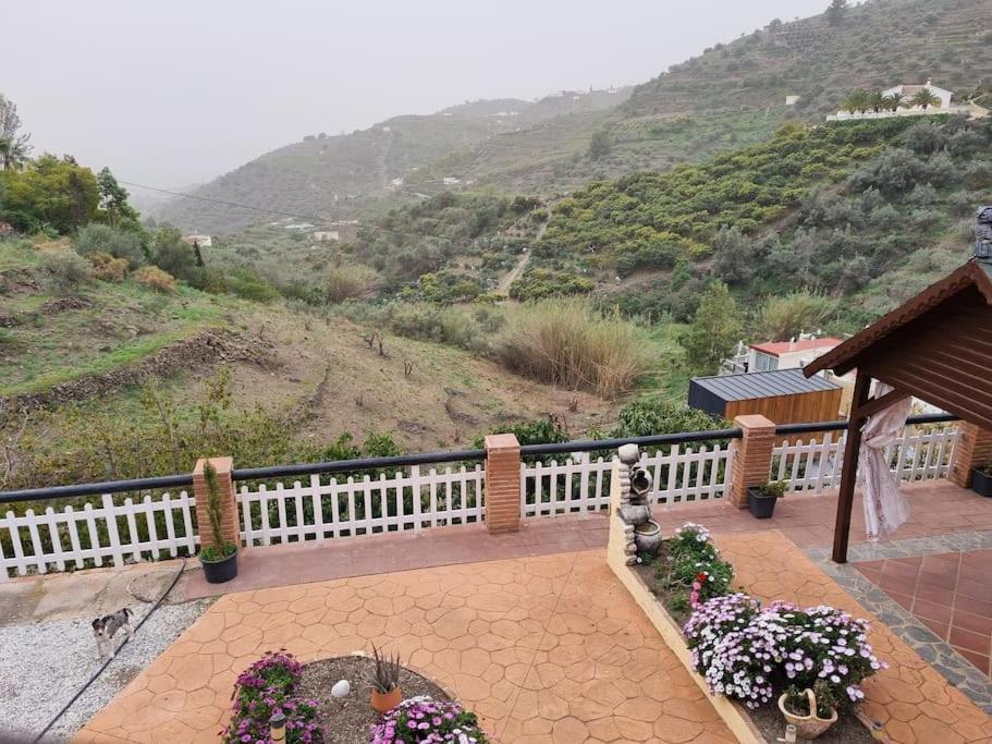 Villa Casa Oasis *