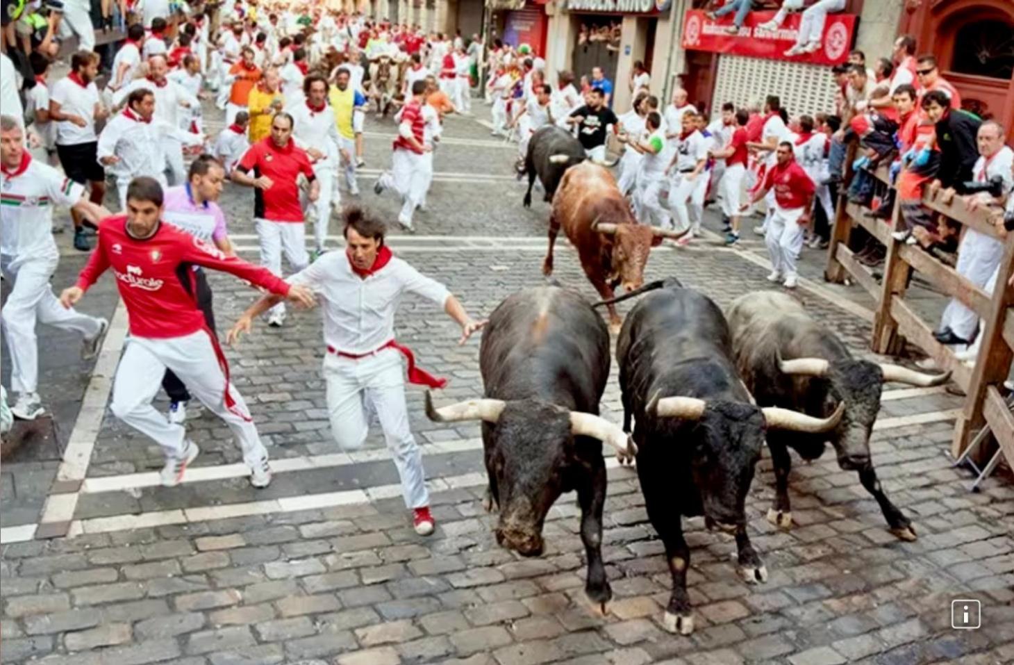 Ganbara, 5 Minutos De Pamplona Villa *