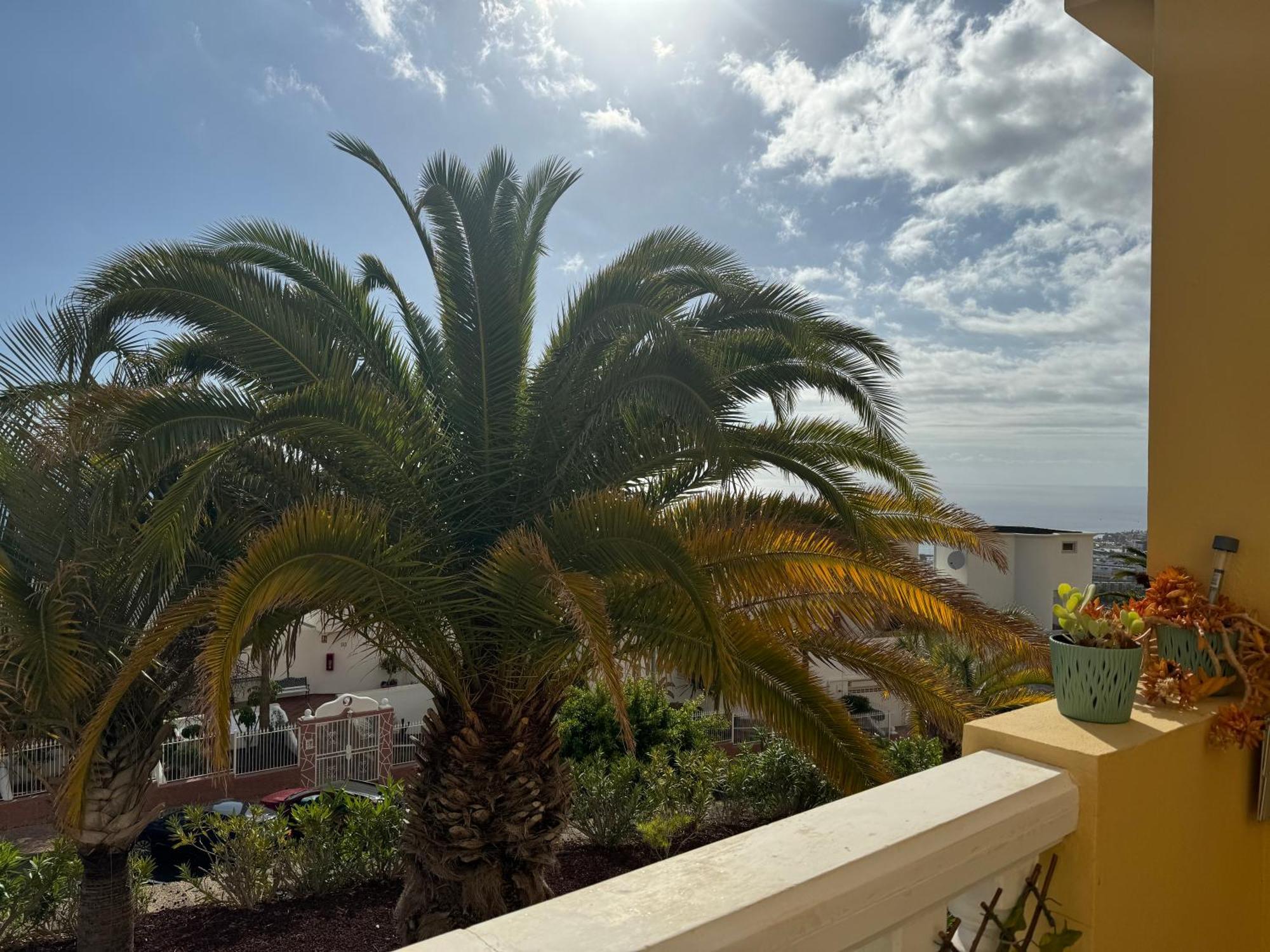 Apartamento Sunset View Balcon Del Atlantico Fase Iv In Torviscas