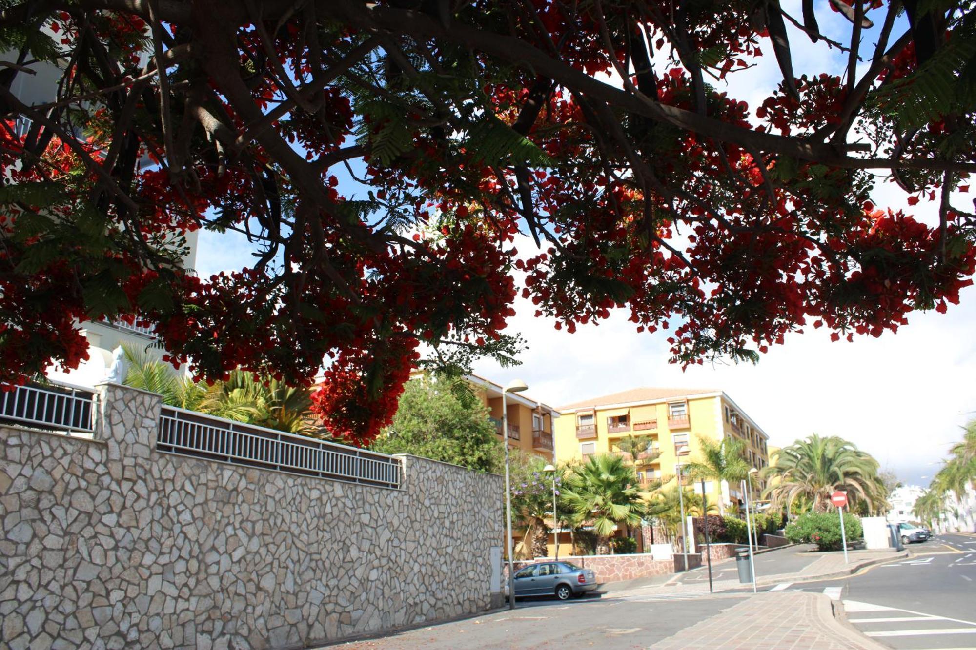 Apartamento Beautiful With Pool In Mar