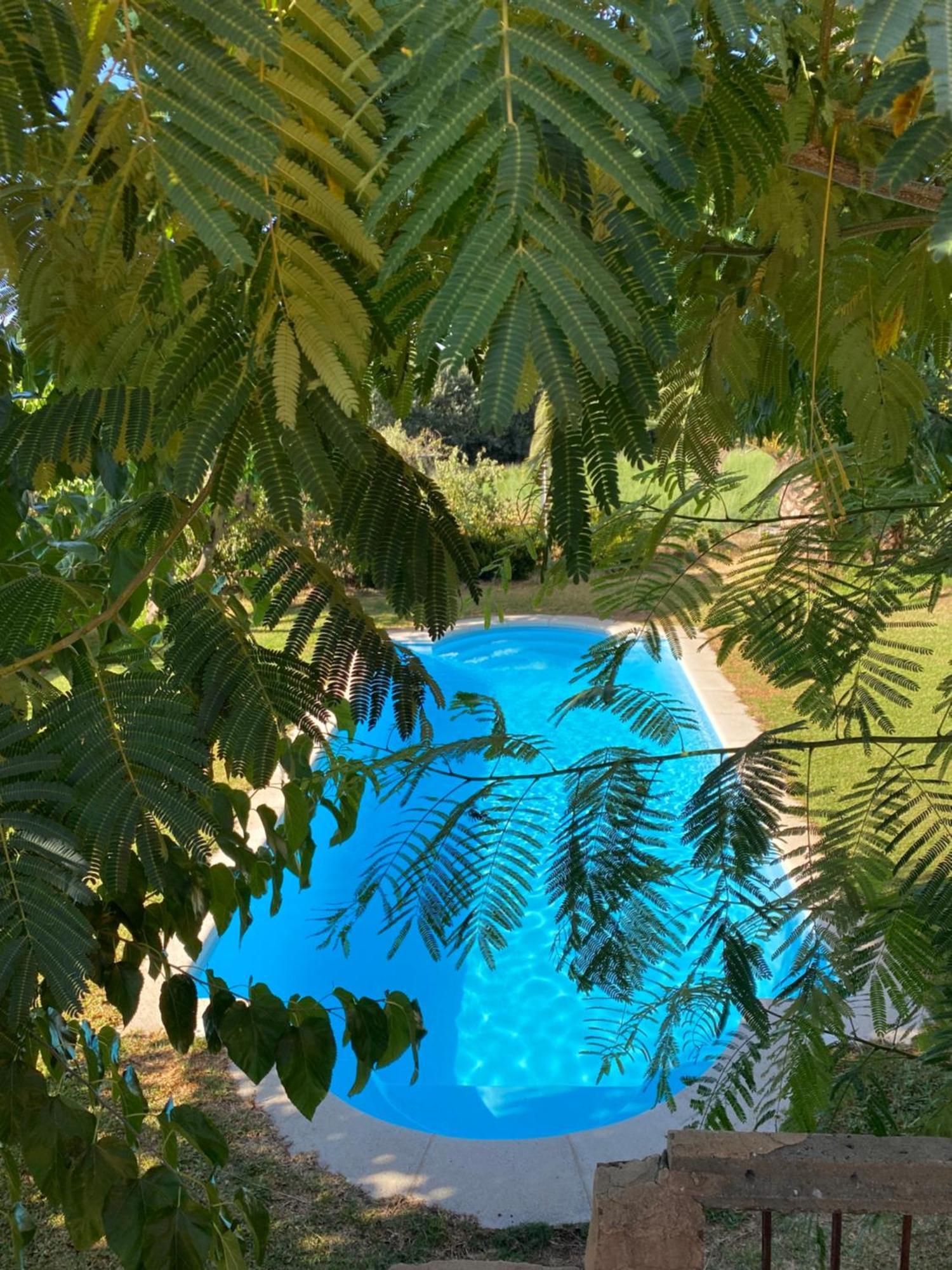 Higueras Y Olivos * Candeleda