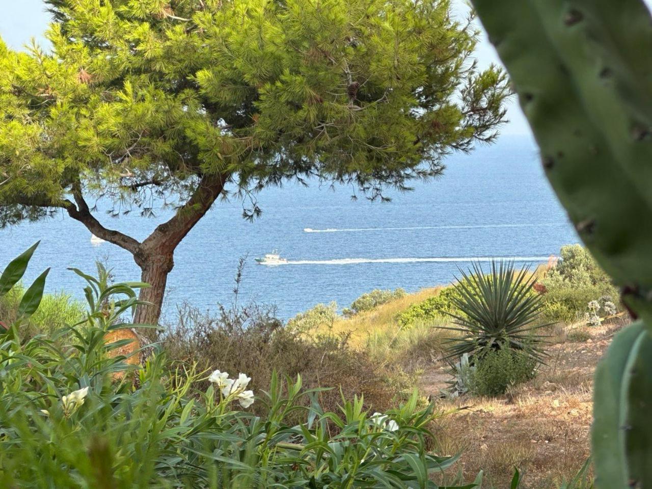 Flamingo Gran Alacant Apartment Santa Pola